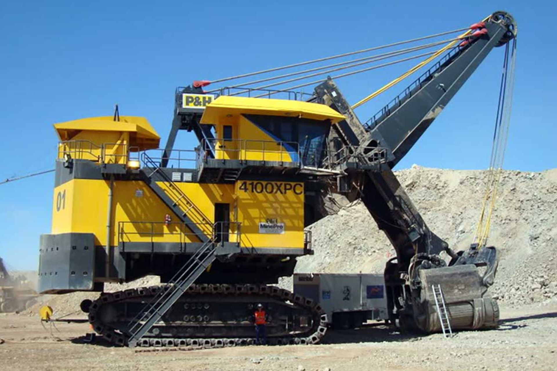 بزرگ‌ترین شاول کابلی