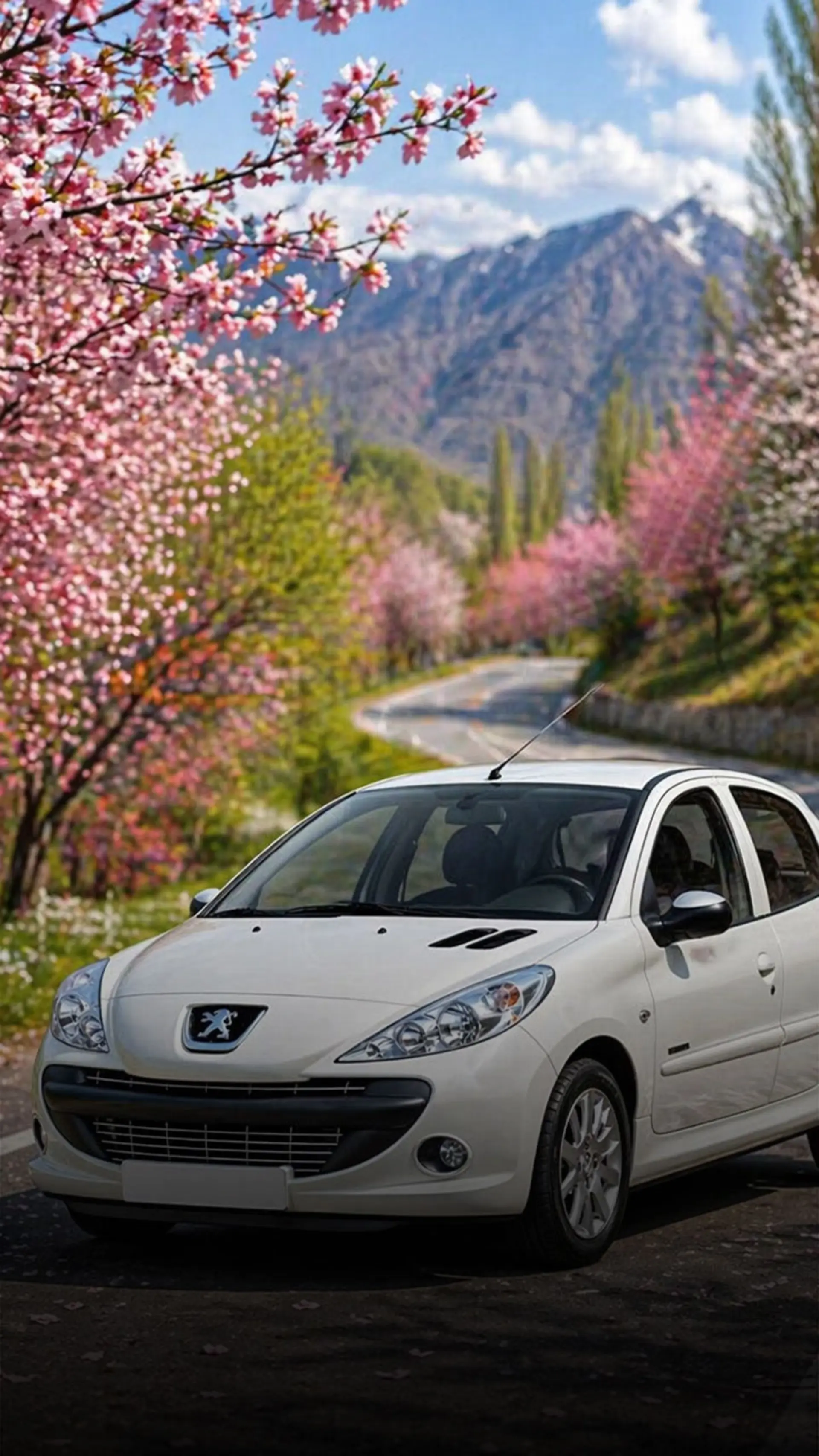 افزایش قیمت خودرو ها در بازار ایران