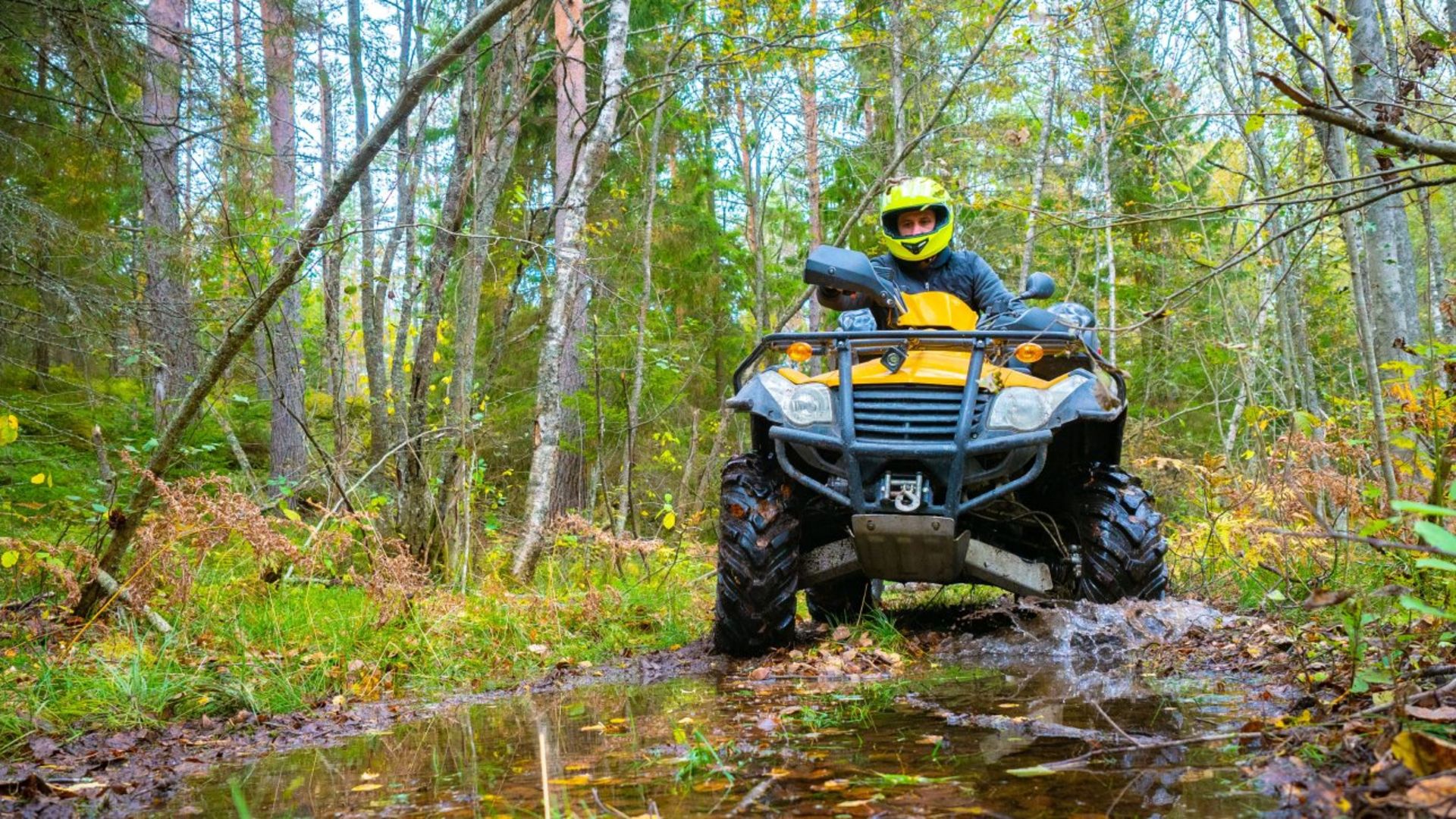 موتور چهار چرخ