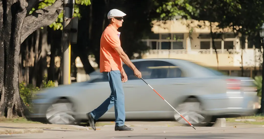 فرد نابینا (Blind person)