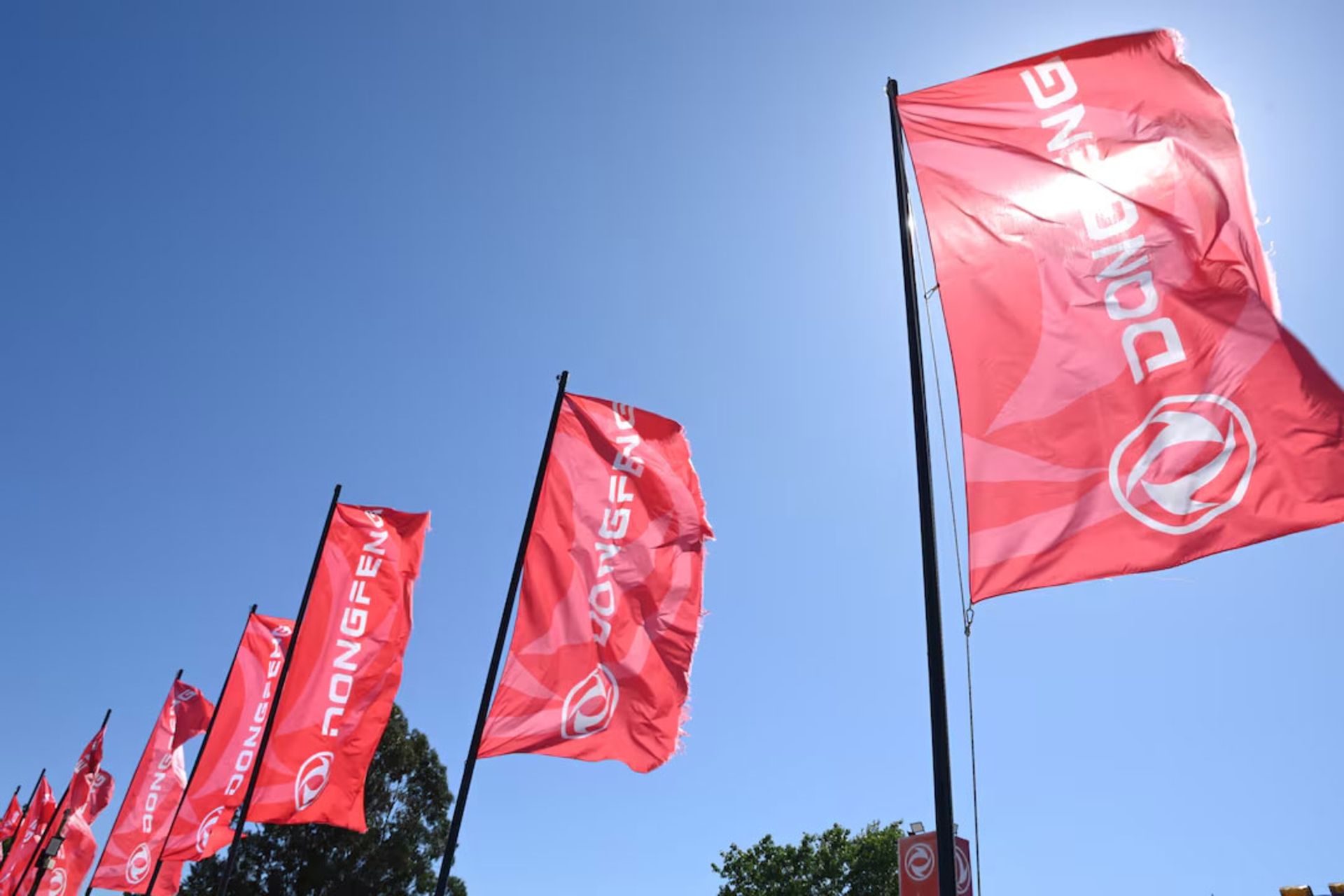 پرچم های دانگ فنگ