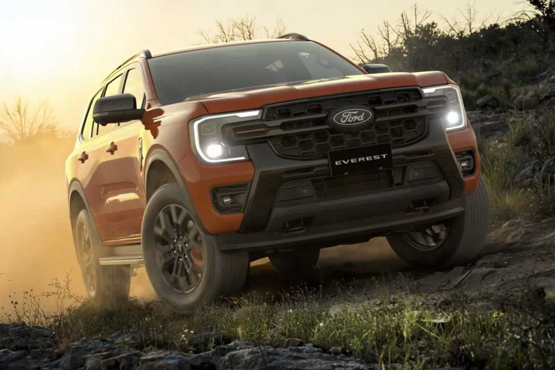 اورست وایلدترک