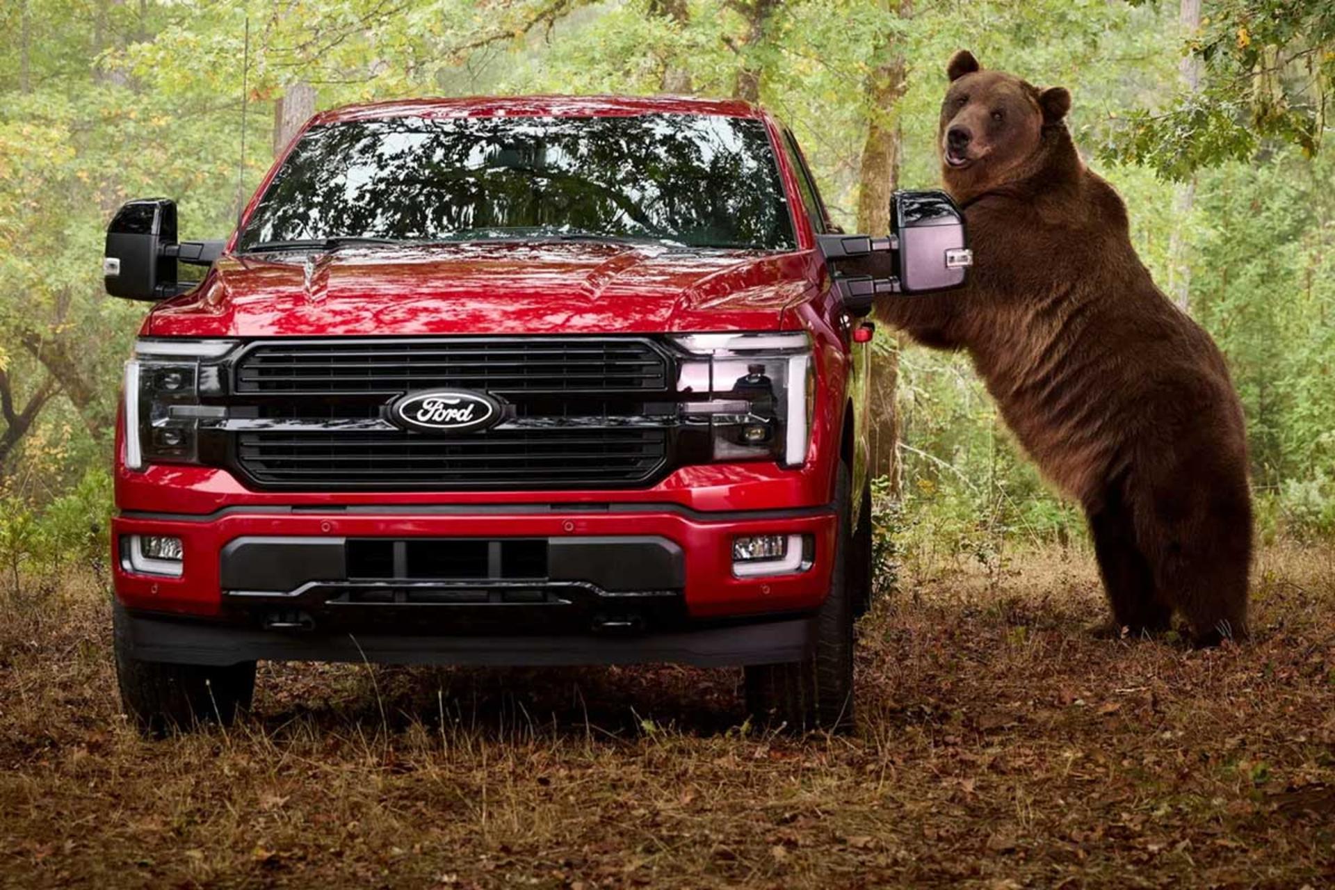 حمله خرس به فورد F150