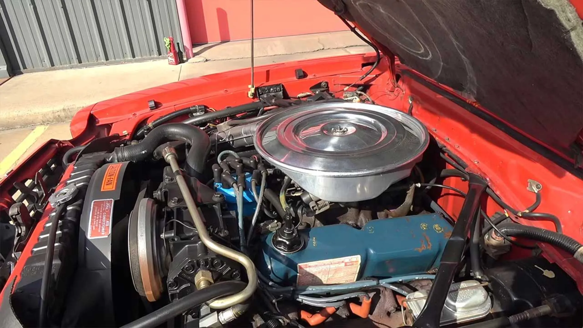 موستانگ کینگ کبرا ۱۹۷۸