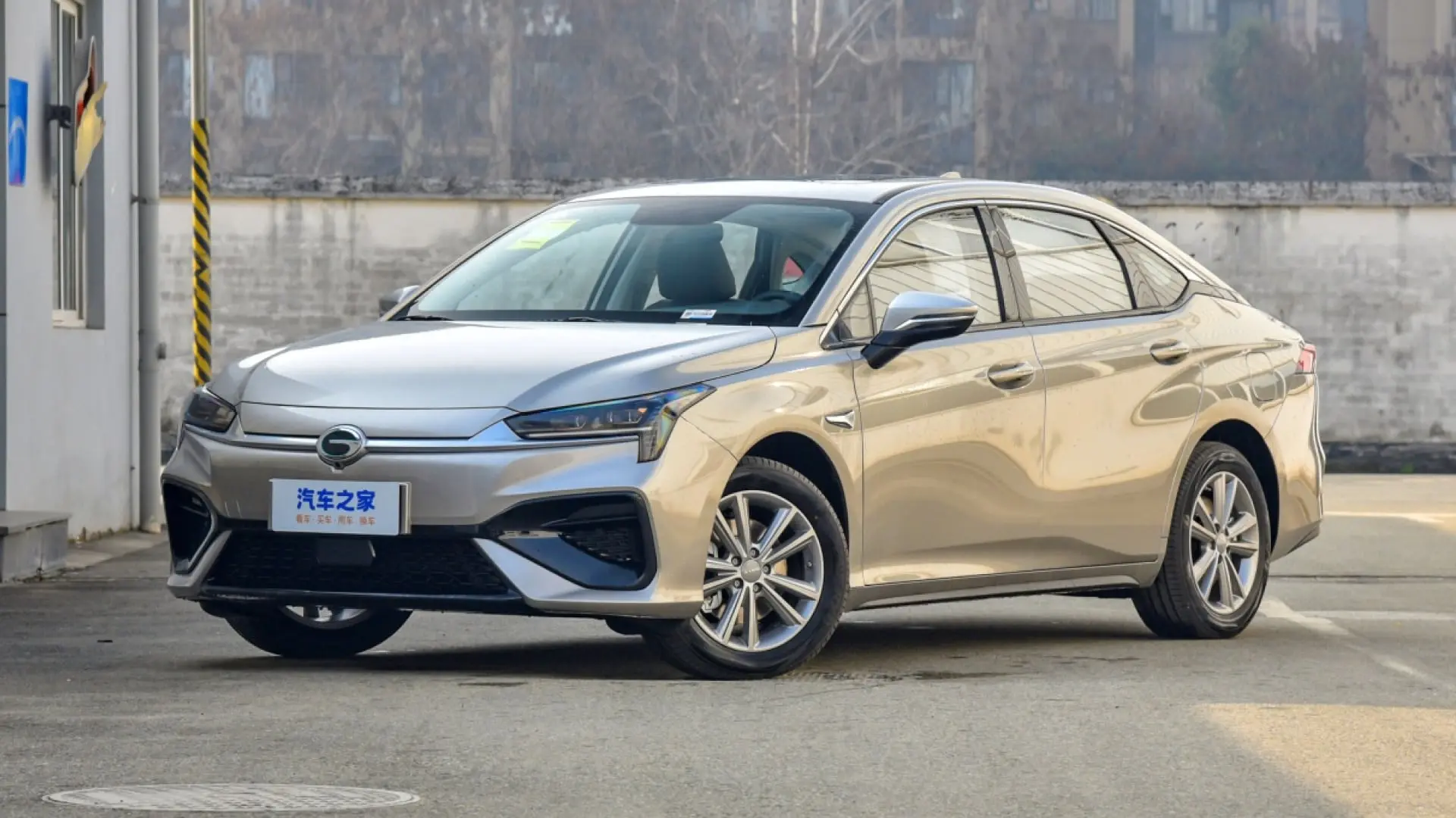 gac ion