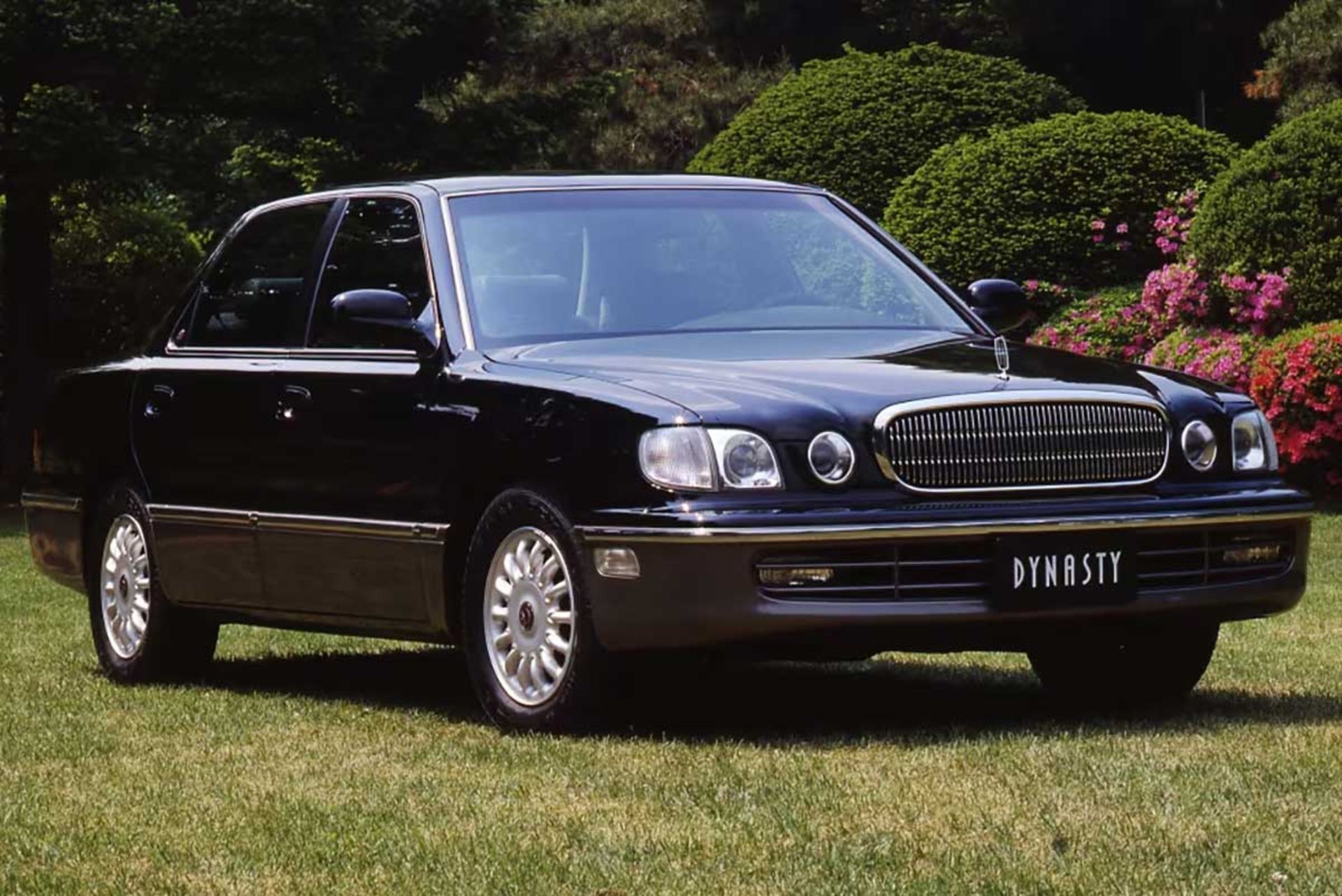 هیوندای داینستی