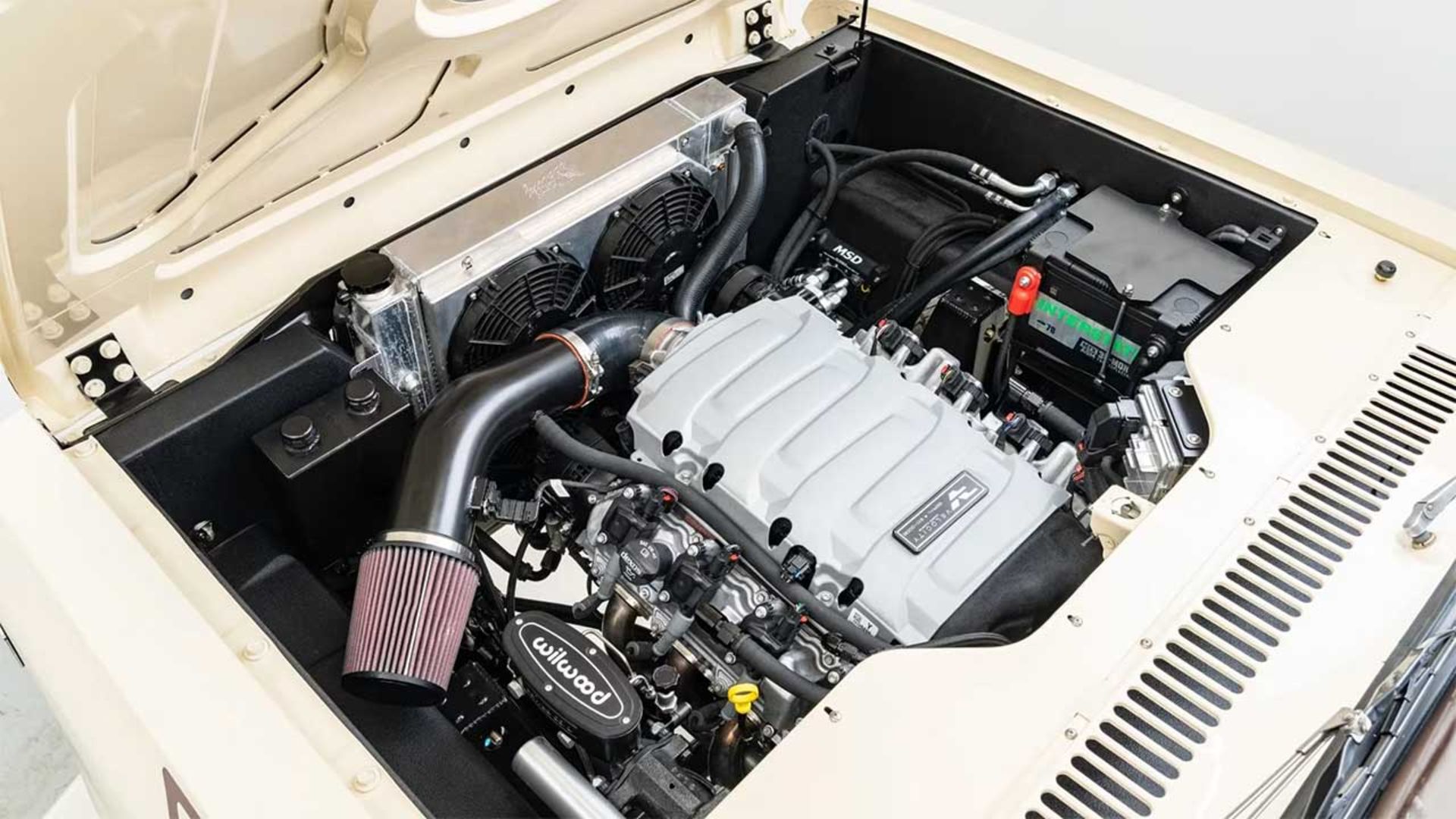 رستوماد اینترنشنال اسکات 