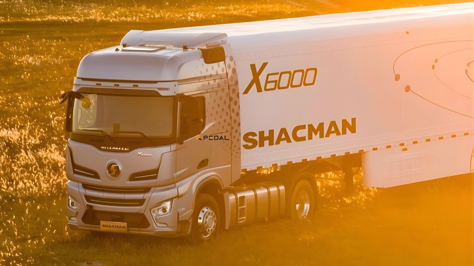 سواری کشنده شکموتو x6000