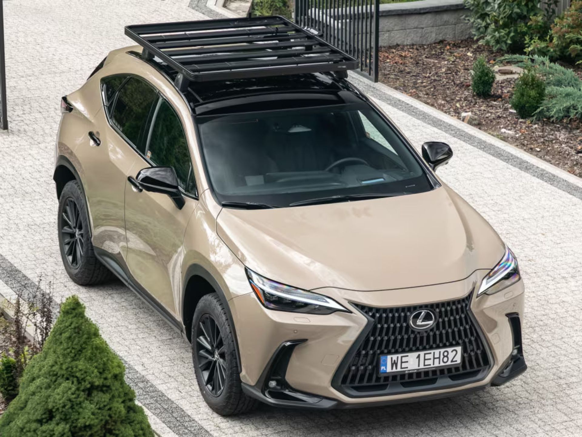 lexus NX NX260