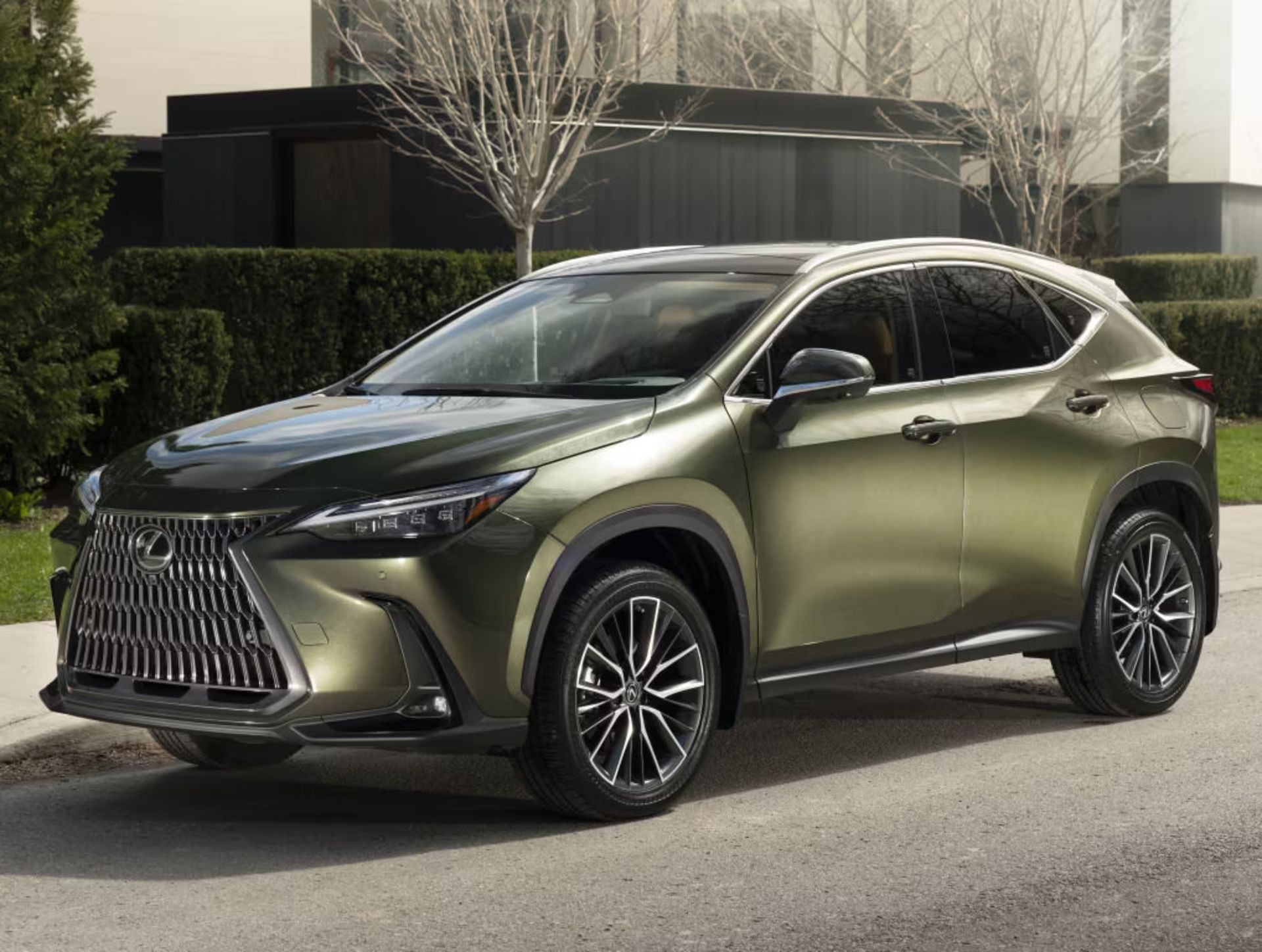 lexus NX NX260