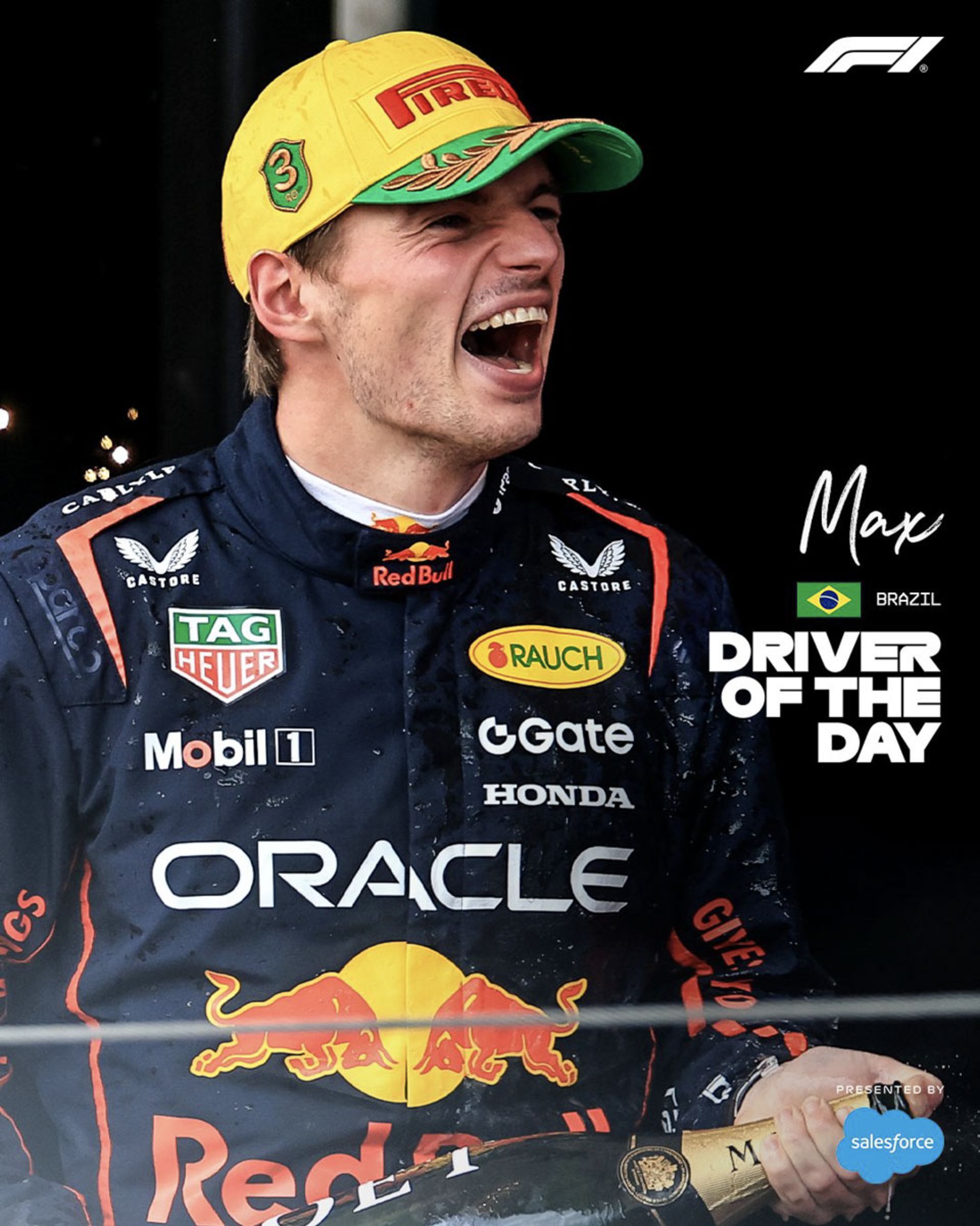 راننده برتر، مکس ورشتاپن