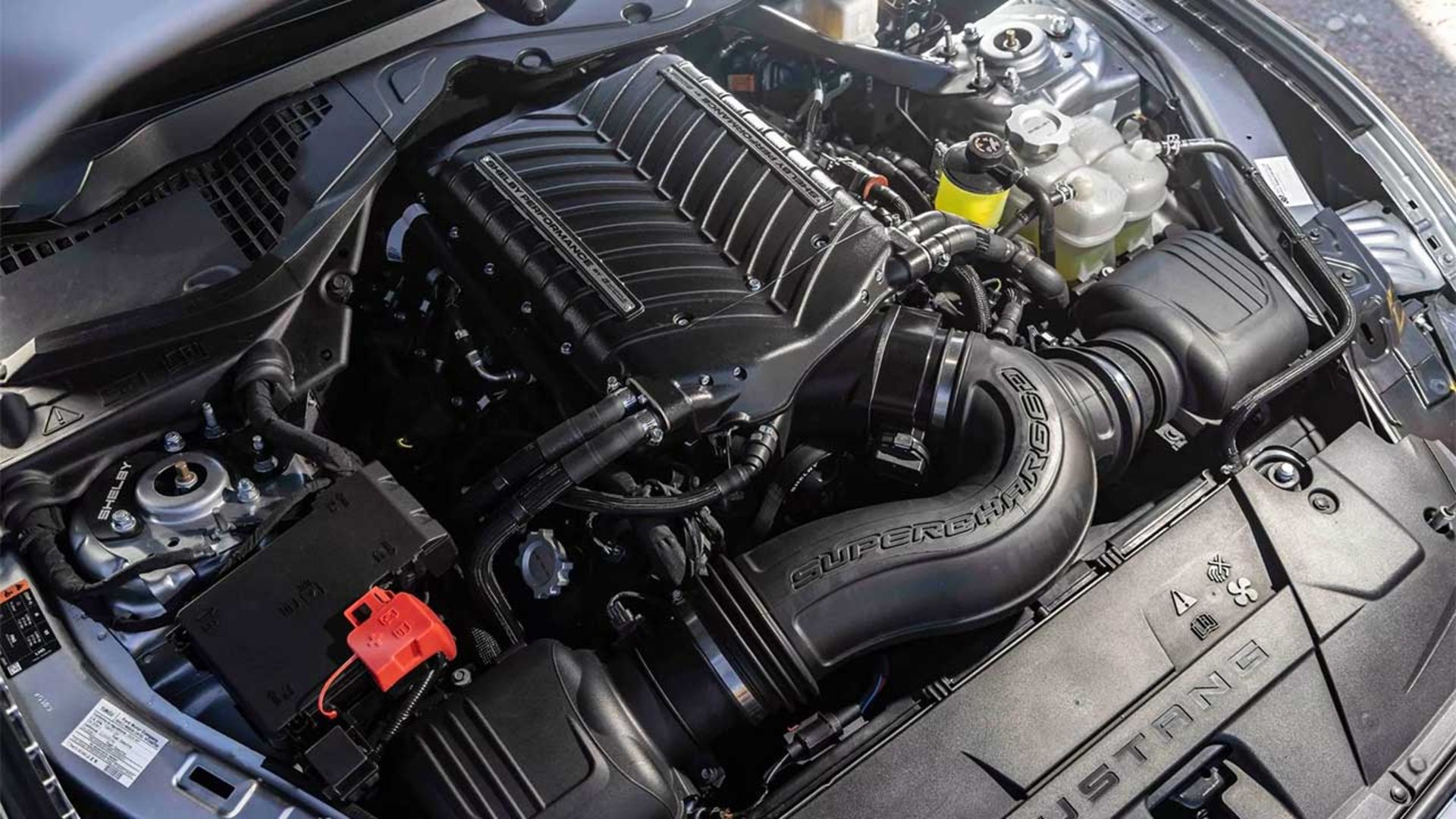 موستانگ شلبی GT350 کانورتیبل