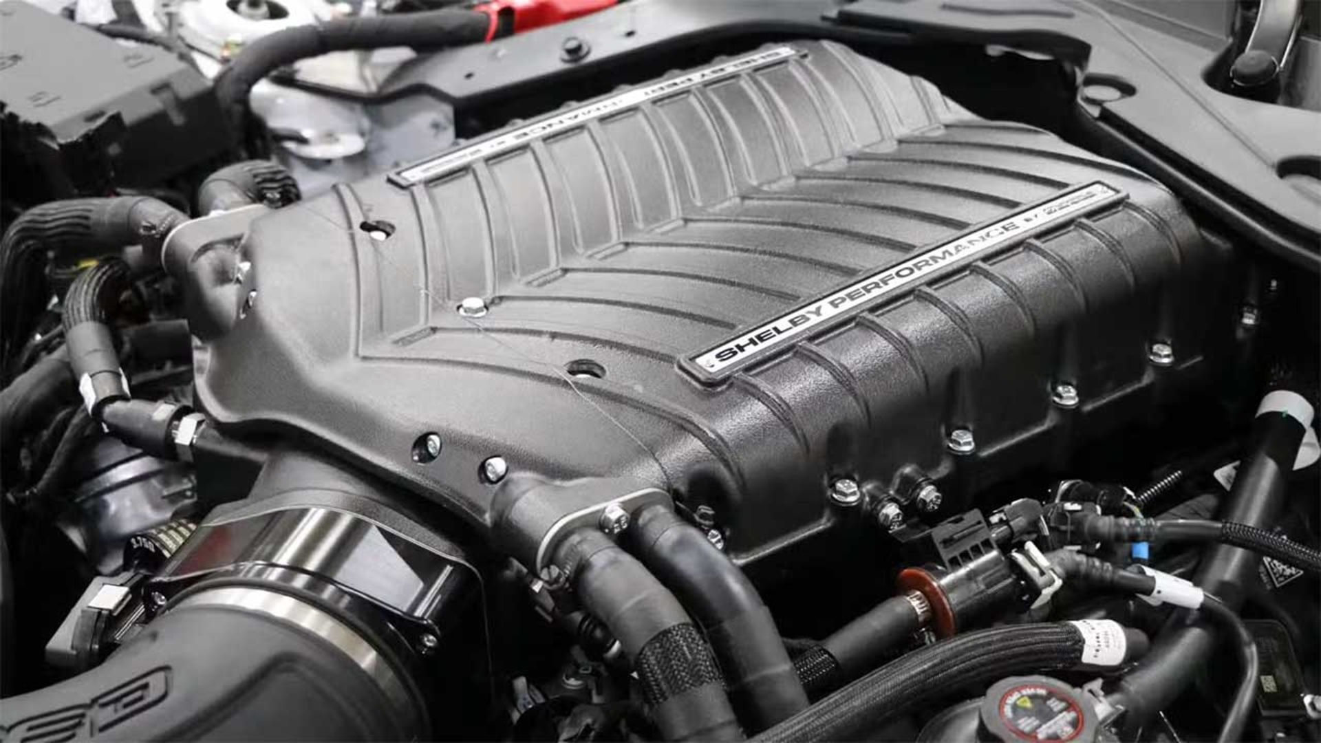 موستانگ شلبی GT350/TA