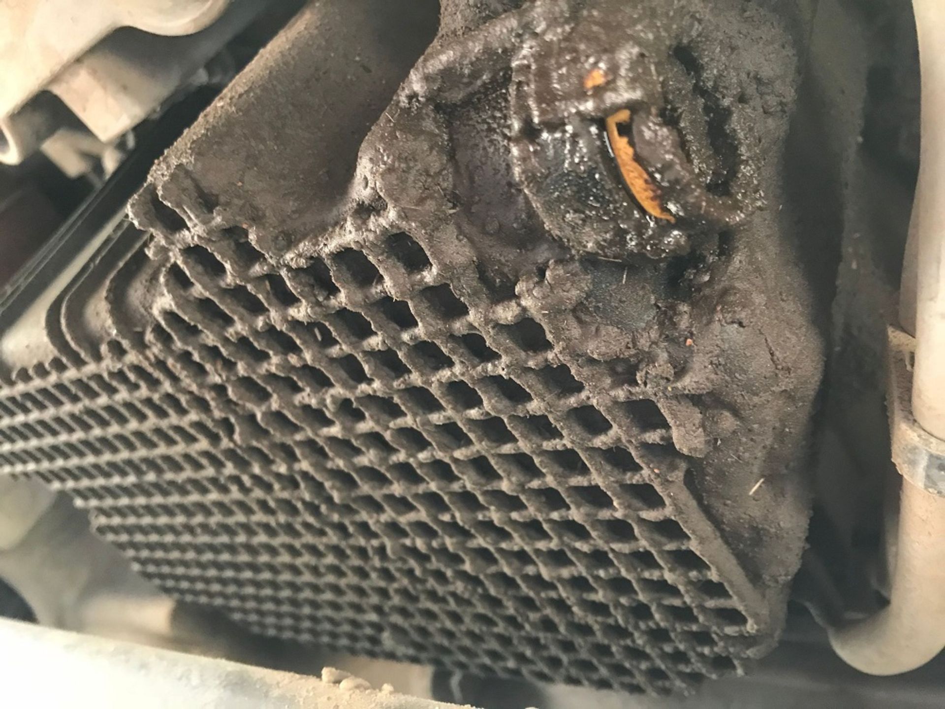 کارتر روغن پلاستیکی