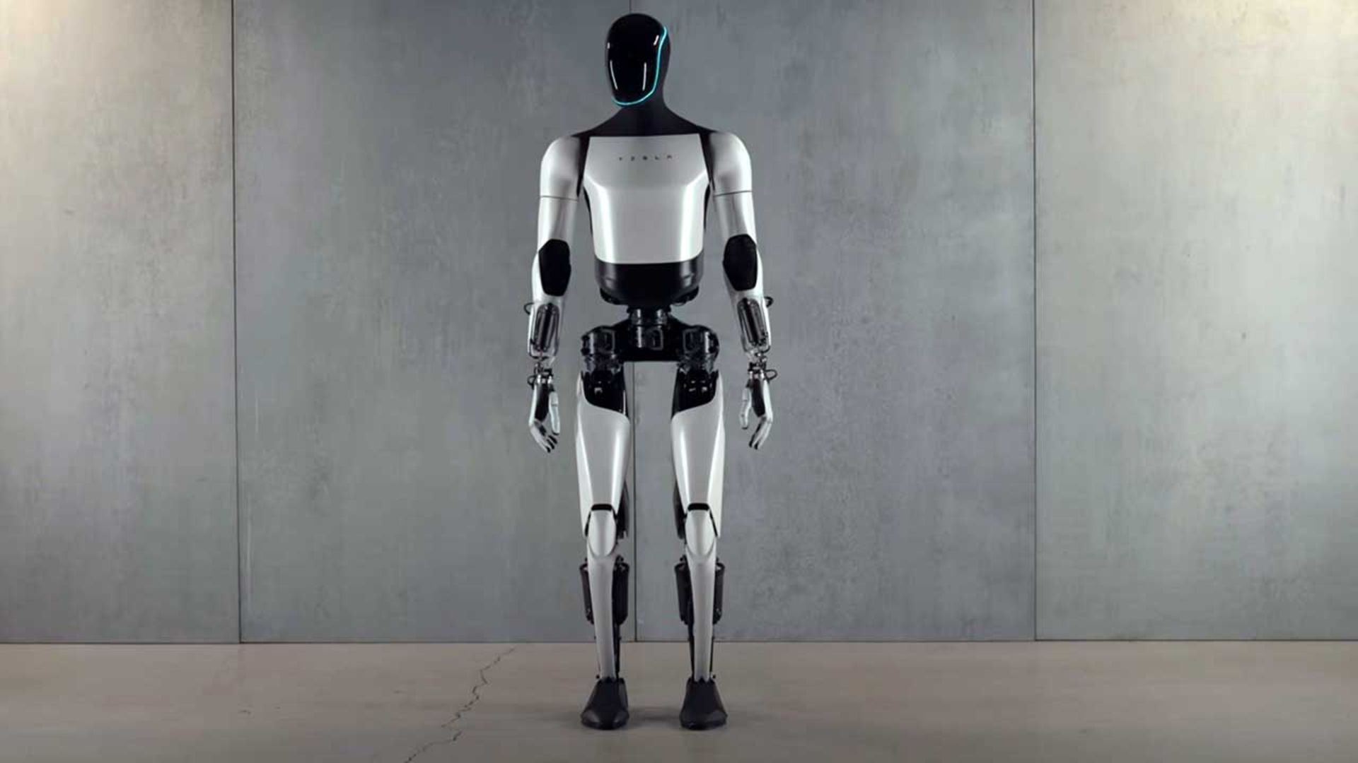 ربات اپتیموس