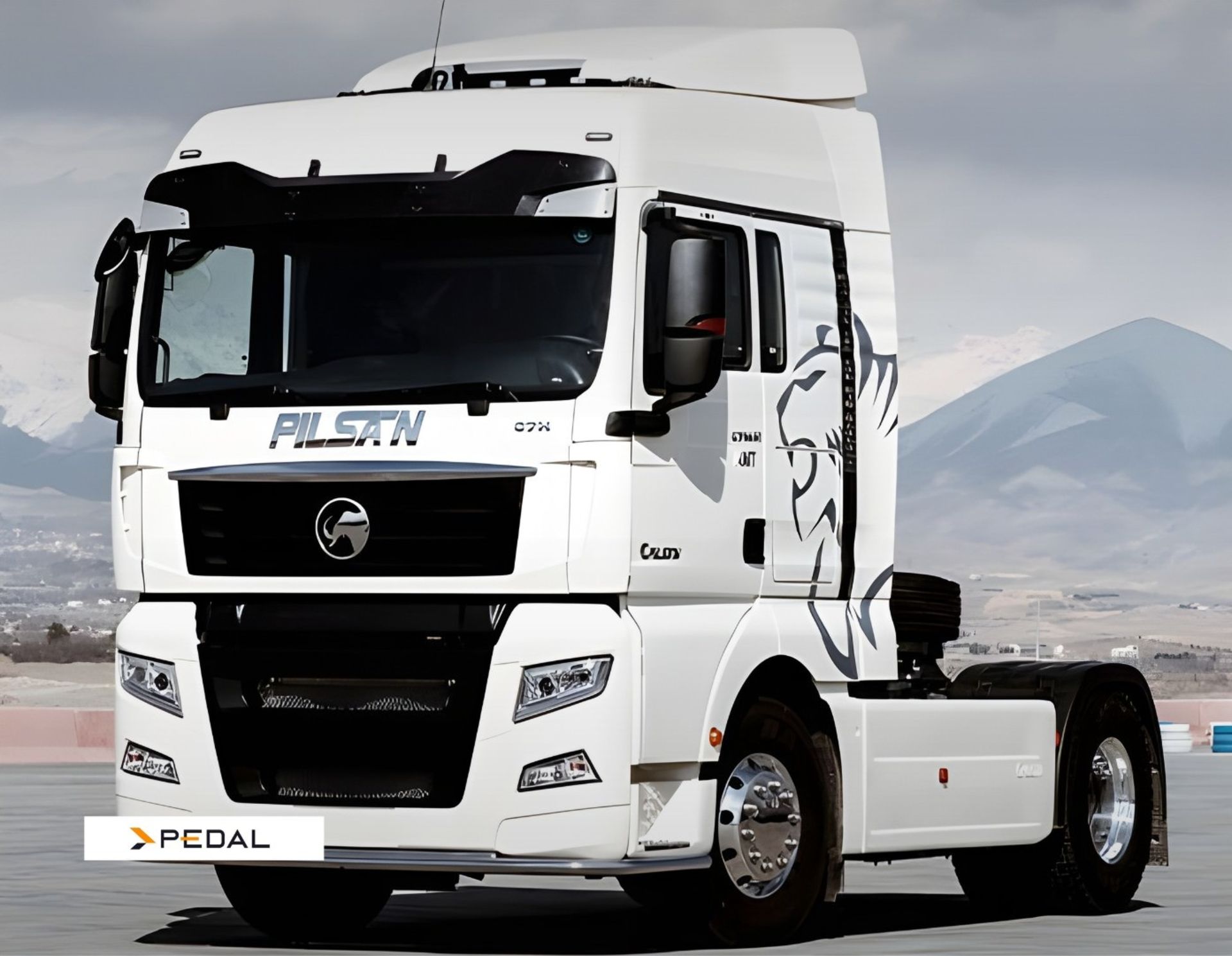 تصویر کشنده پیلسان 480