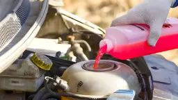 ضدیخ (Antifreeze) قرمز رنگ در حال ریخته شدن درون مخزن انبساط خودرو