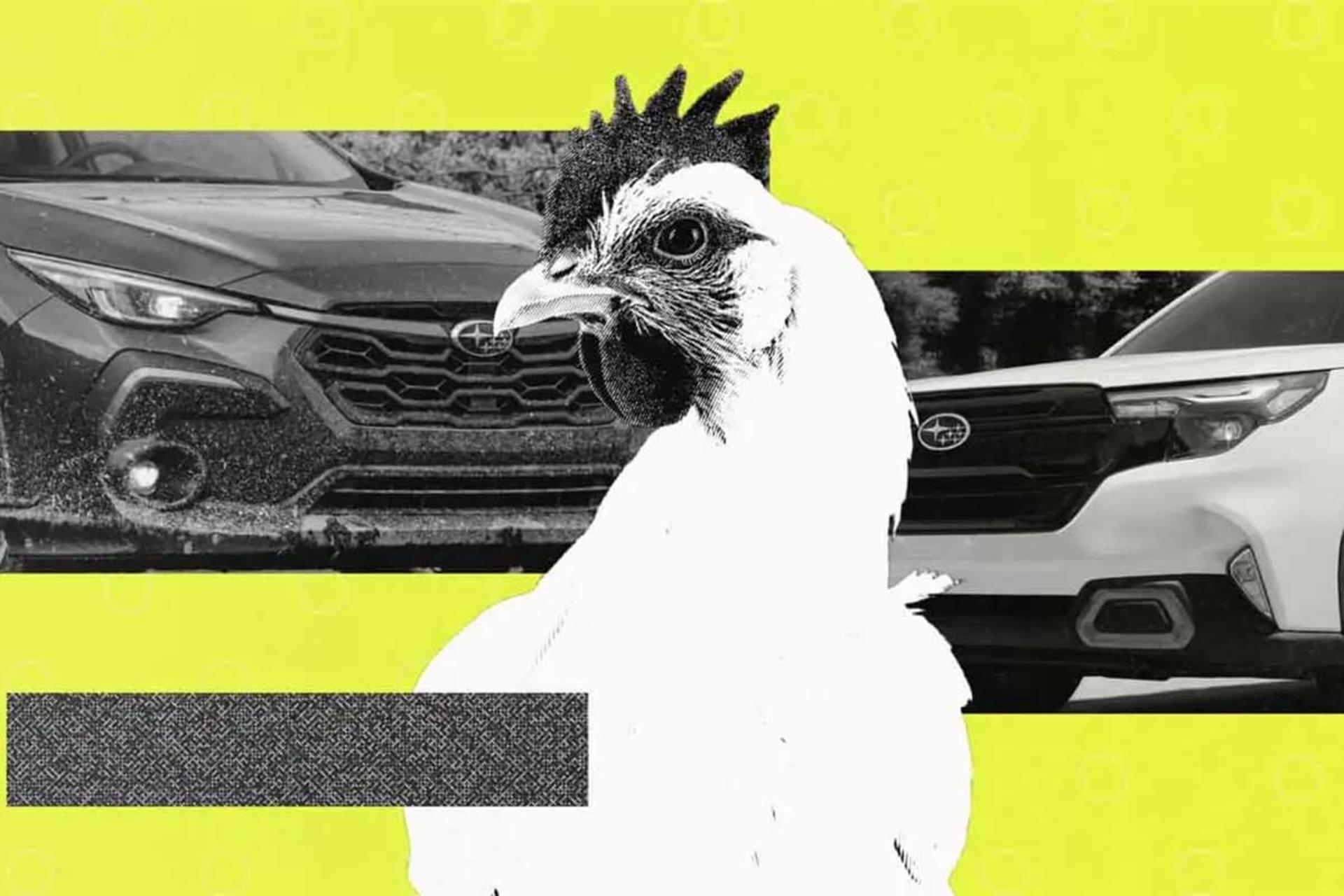 حمل مرغ با سوبارو