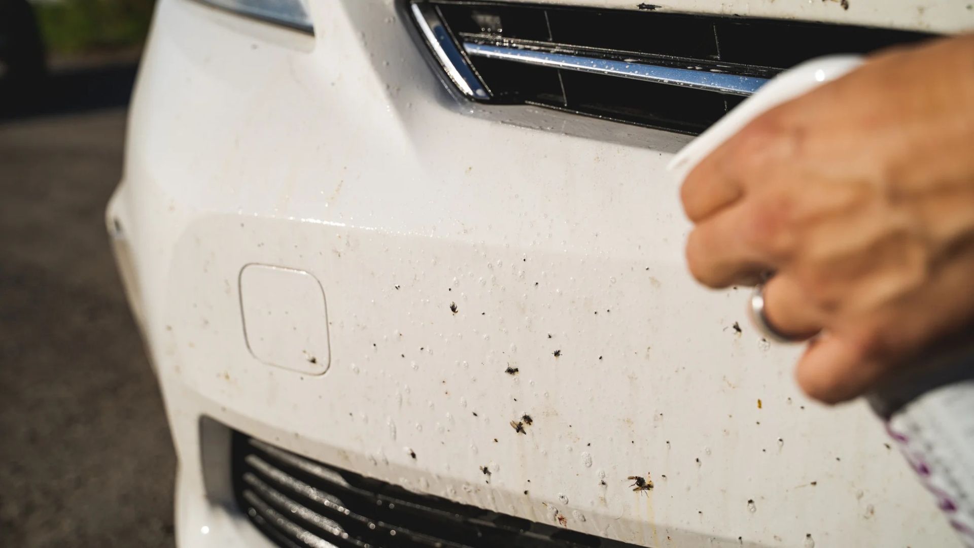 پاک کردن قیر از سپر ماشین