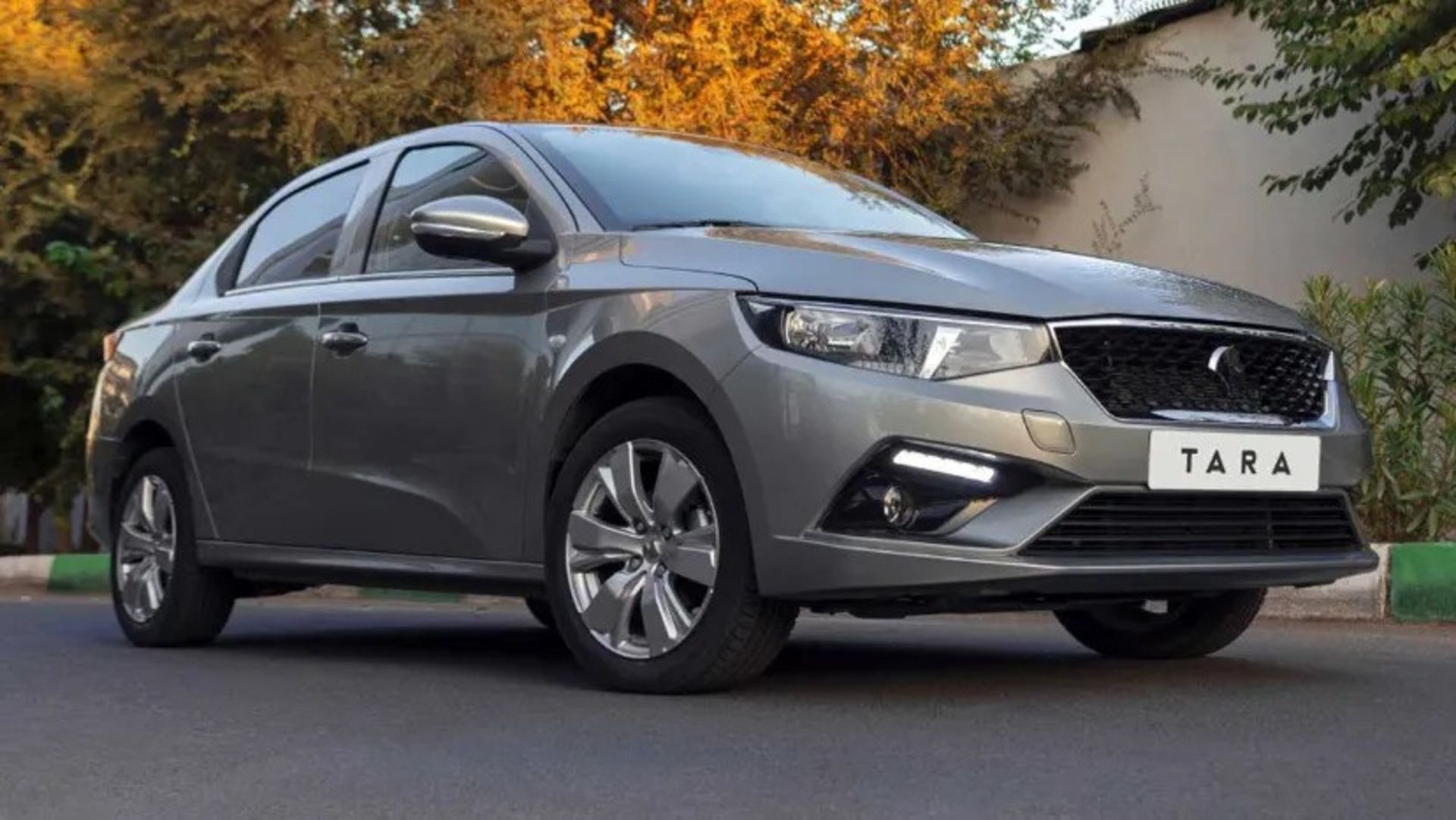 انواع مدل های تارا