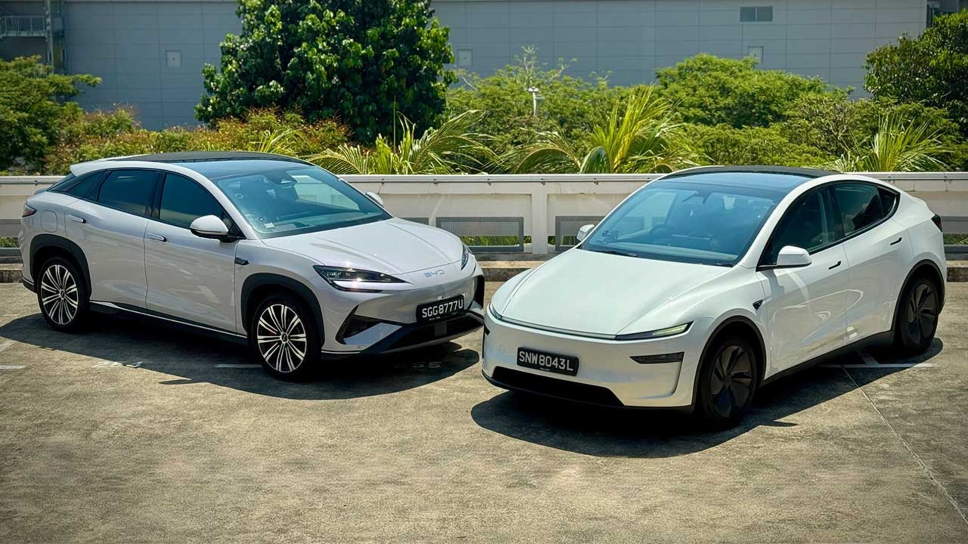 فروش بیشتر بی‌وای‌دی از تسلا