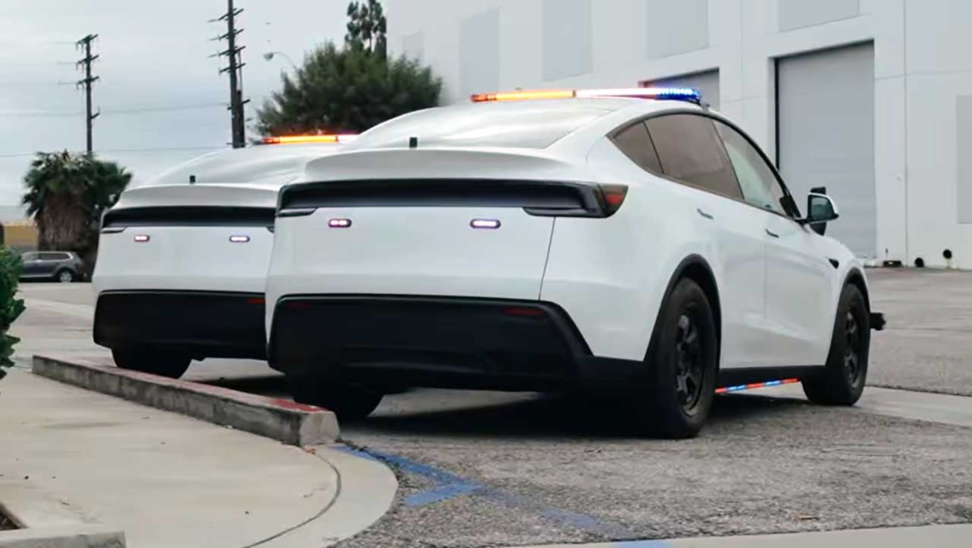 تسلا مدل Y پلیس