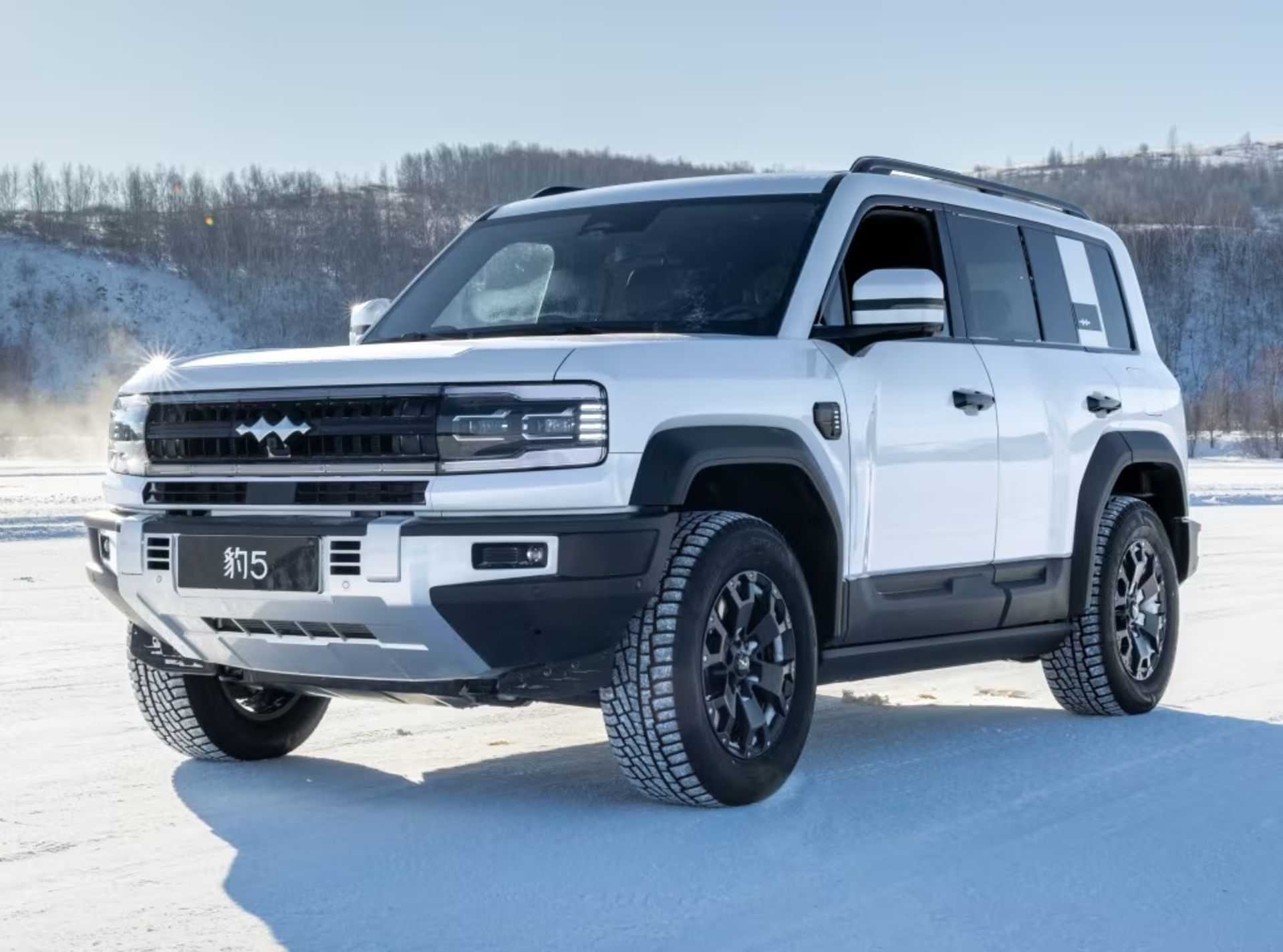 Tigard motor leopard5 BYD bao denza B5