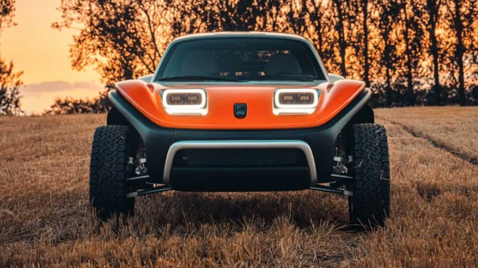 باگی منکس LFG 