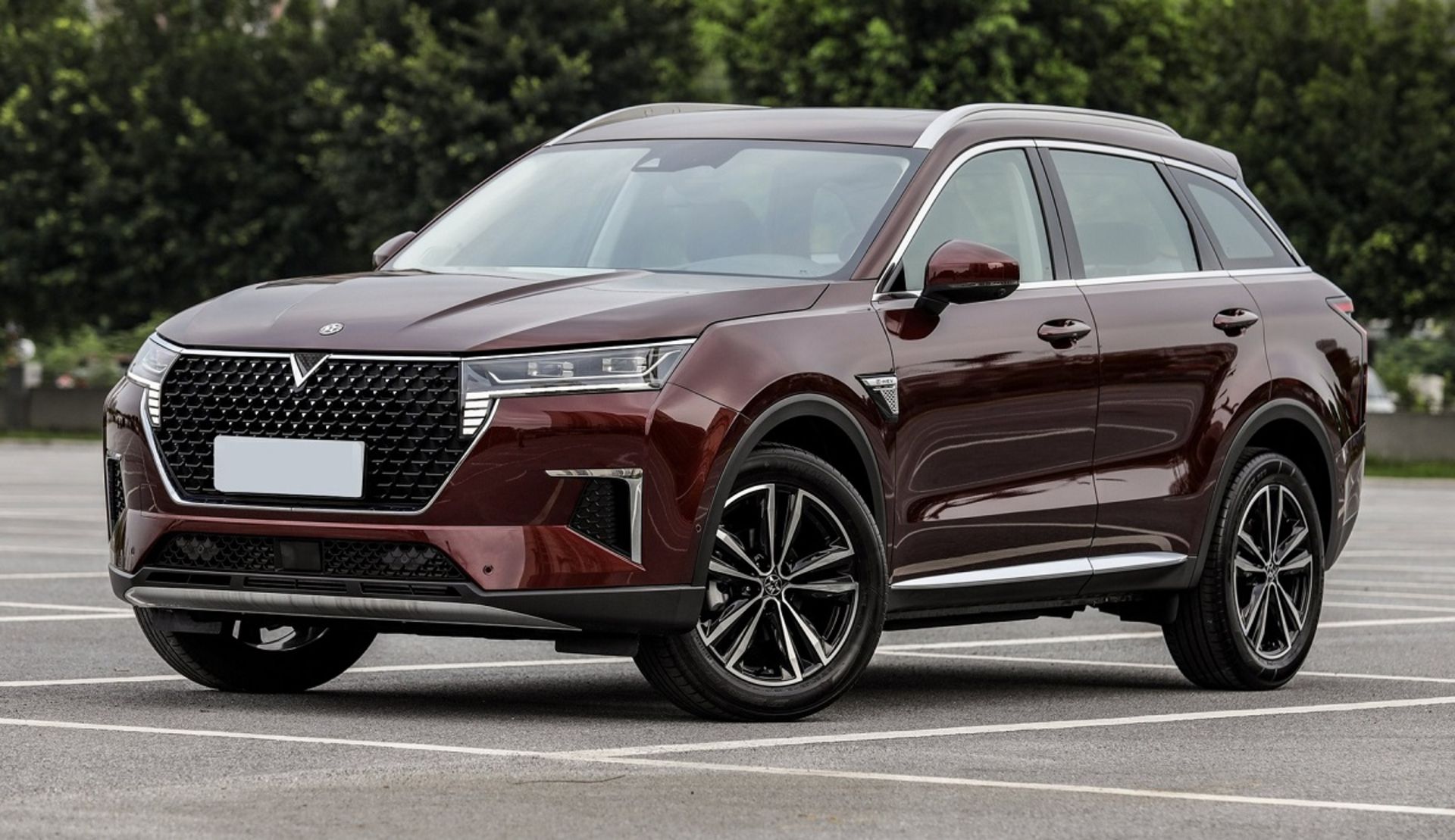 ونوسیا استار