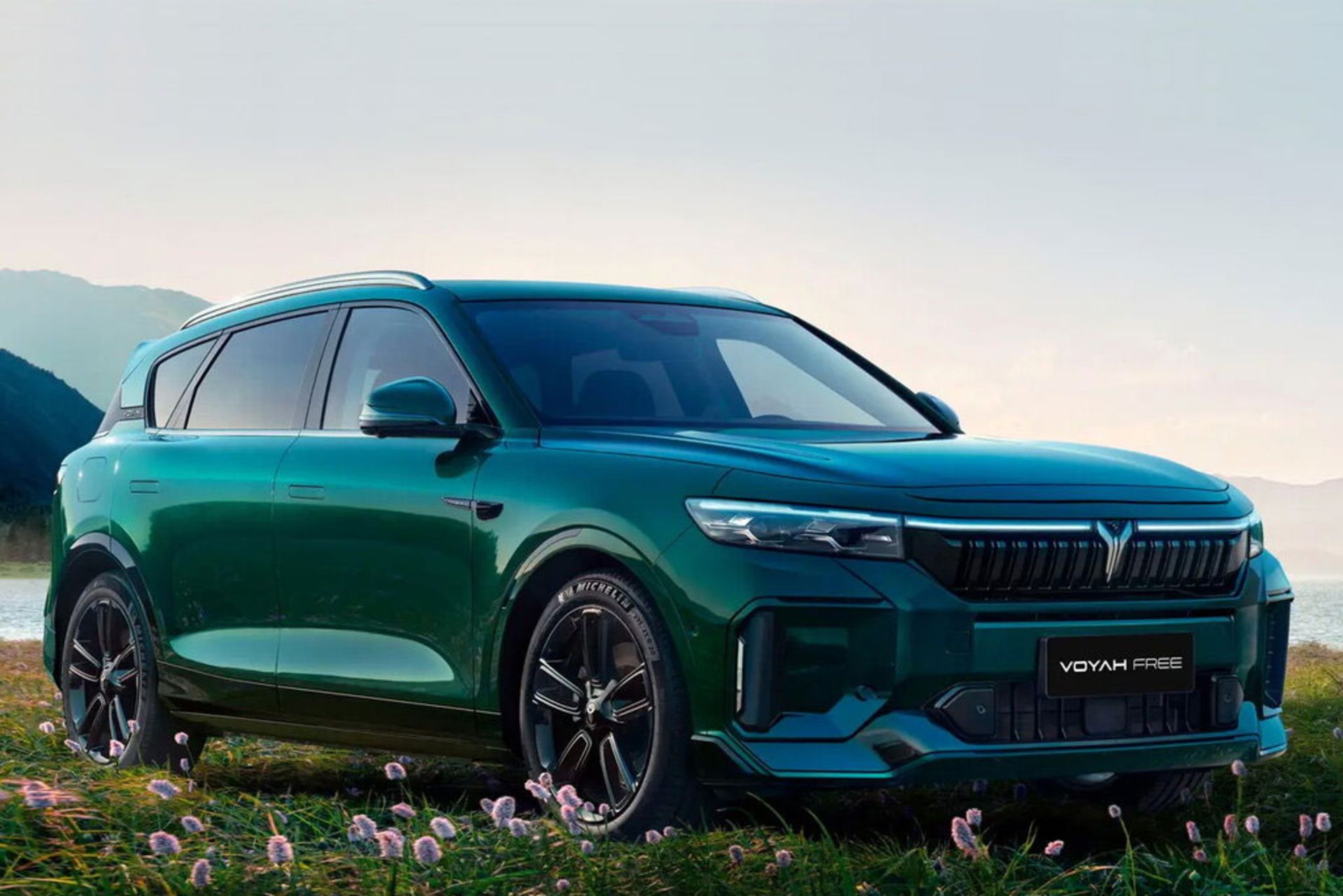 وویا فری 2025