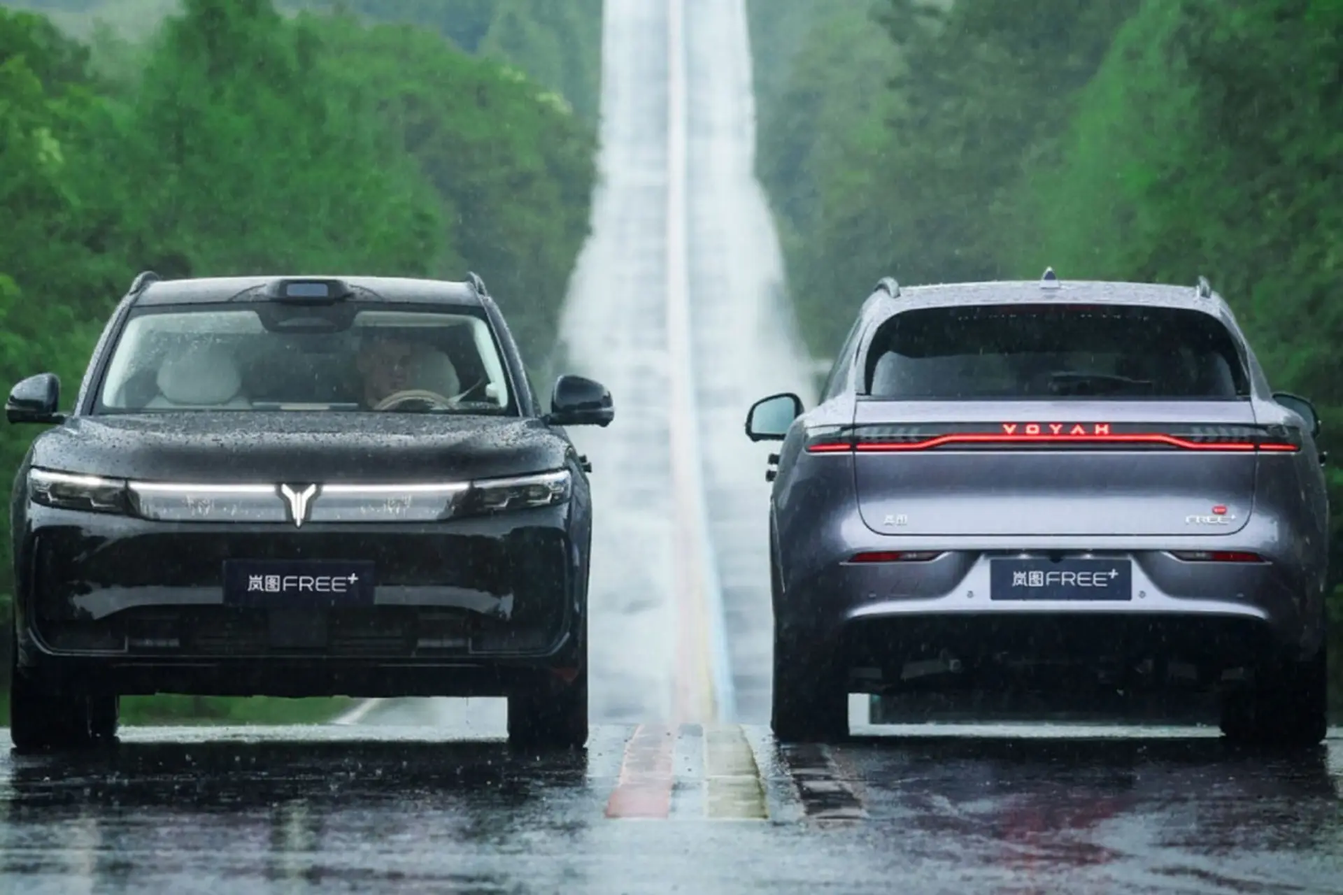 وویا فری 2025