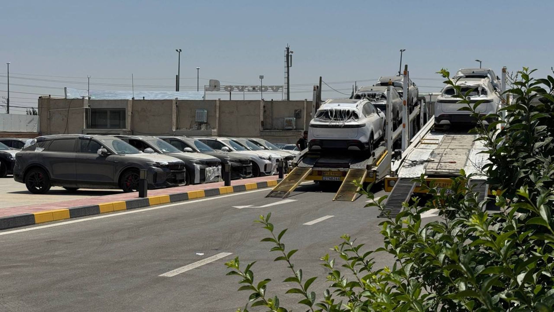 تحویل وویا فری