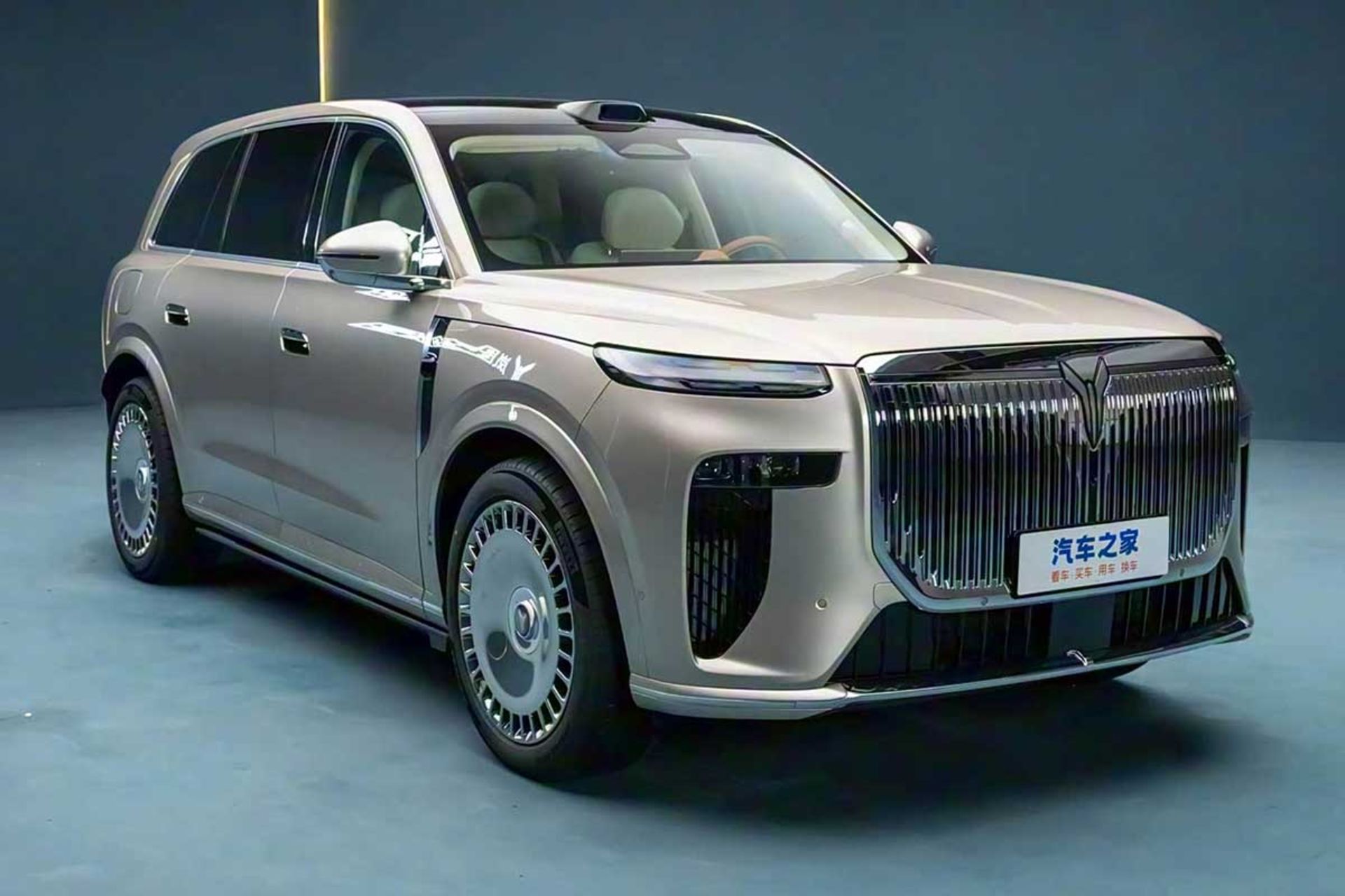 وویا تایشان