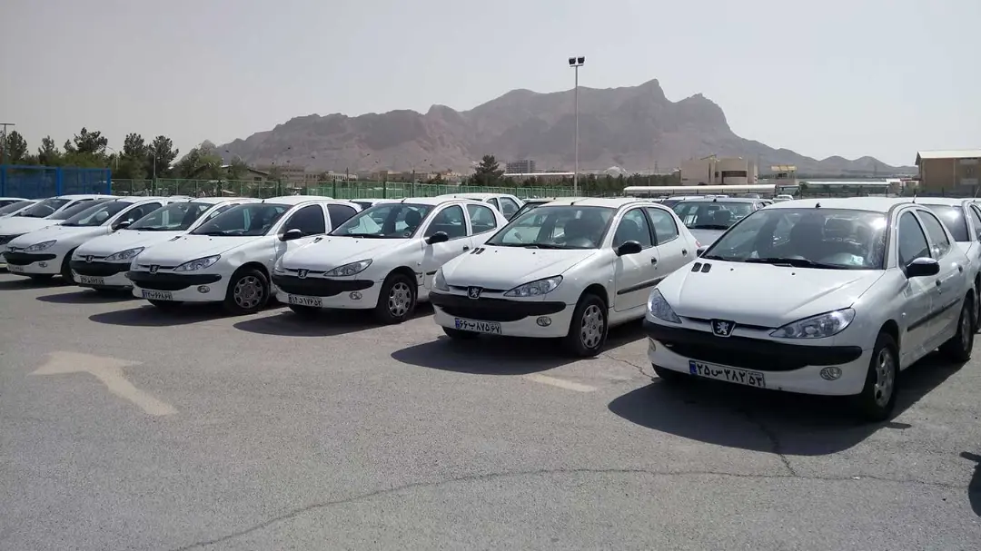 خودروهای سفید رنگ پژو (Peugeot) در یک پارکینگ روباز