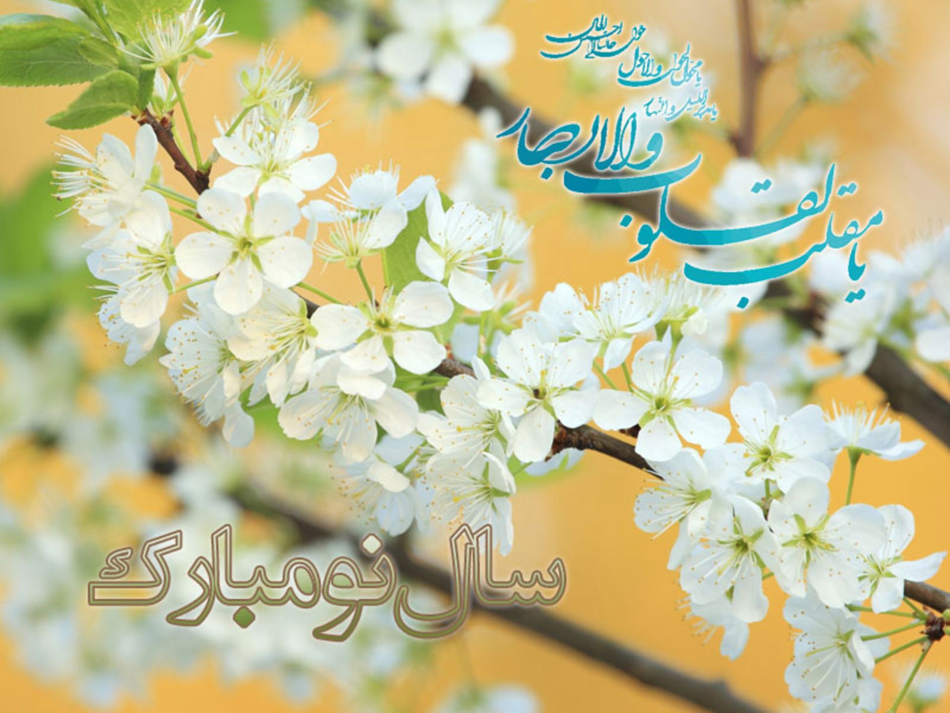 بهار 1393 مبارک باد