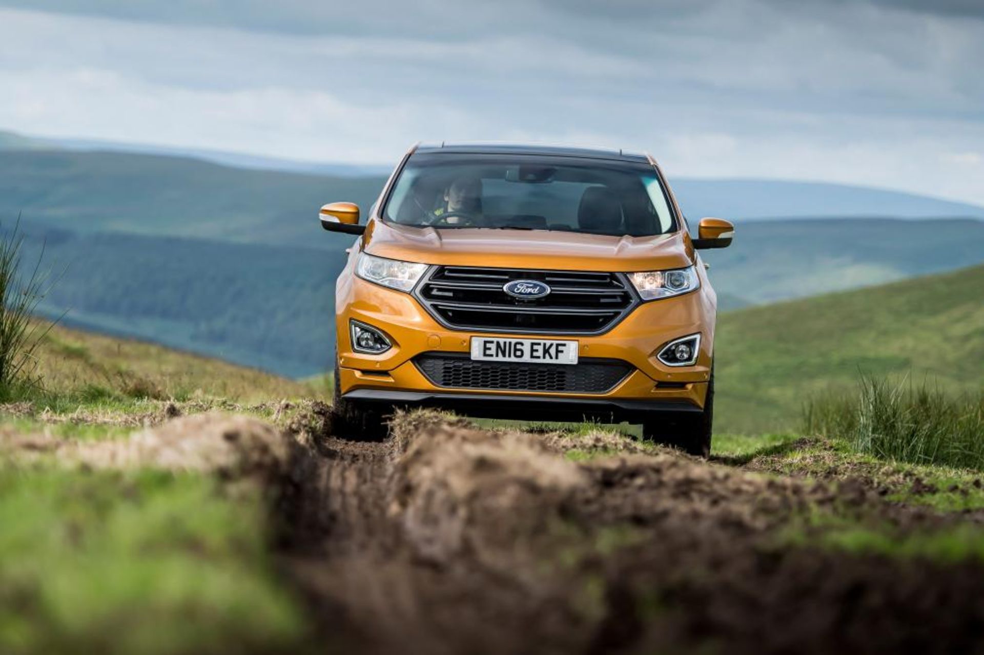 Ford Edge Sport 2016 10