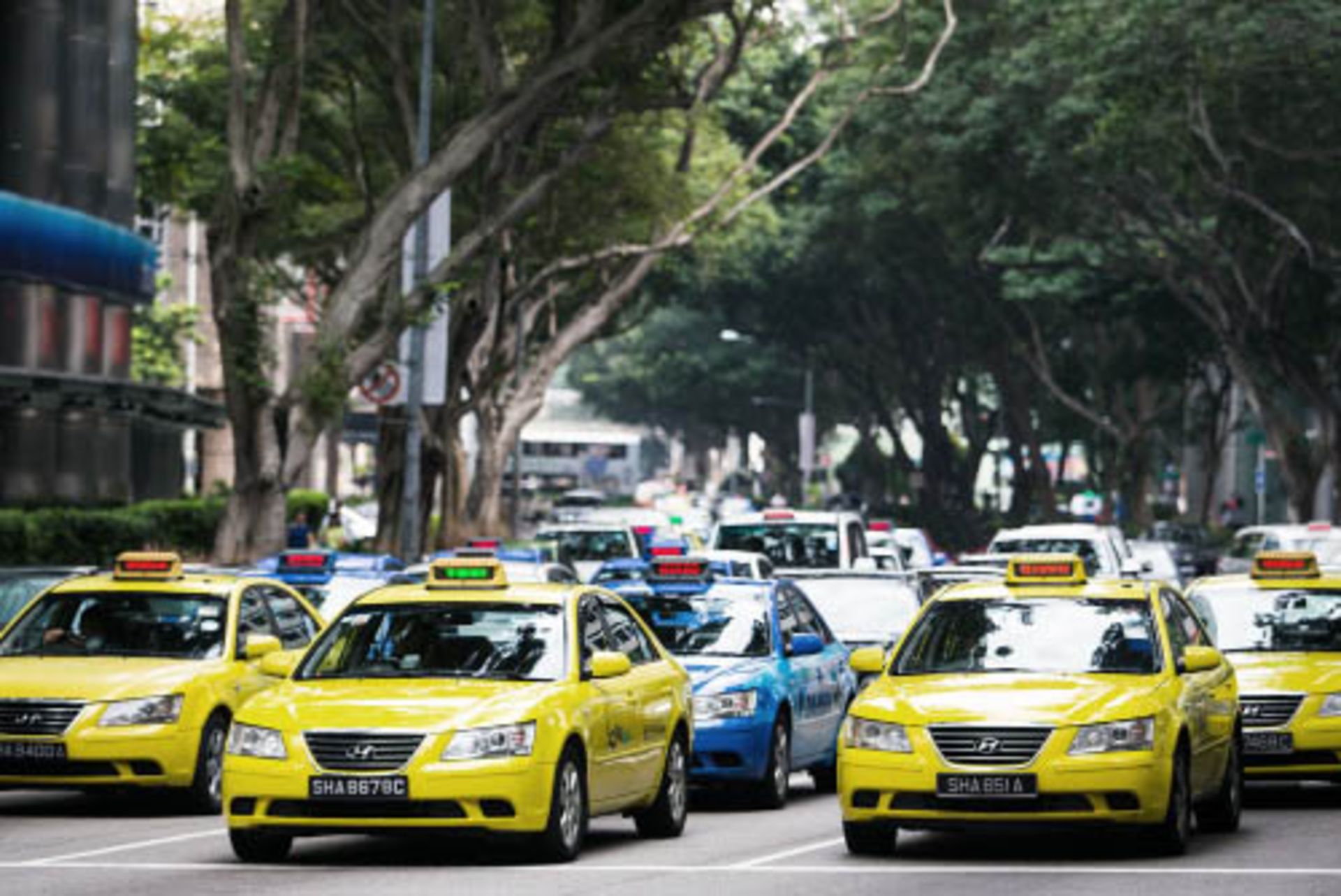 Hyundai_Sonata_taxi-Singapore-street_scene-2015