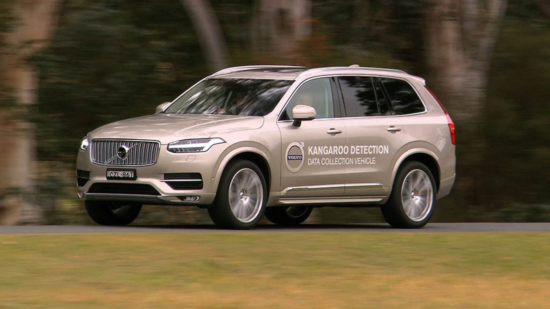 168845_Volvo_Cars_begins_first_ever_Australian_tests_for_kangaroo_safety_research