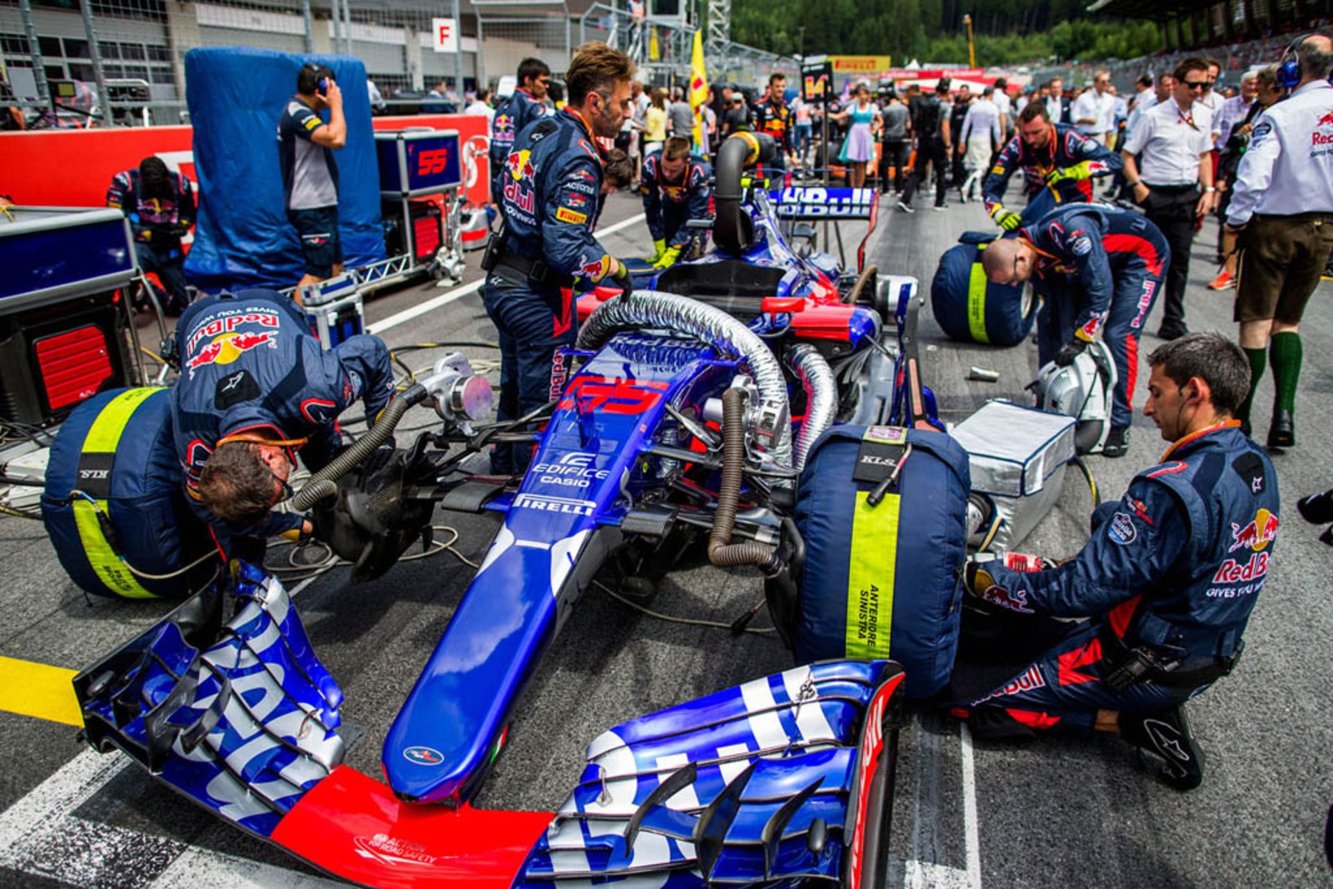 toro-rosso-5