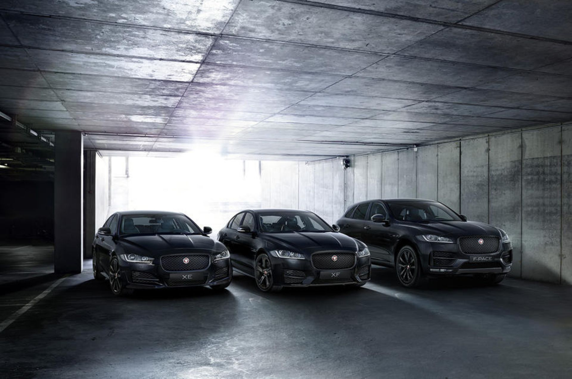 Jaguar-Black-Edition-1