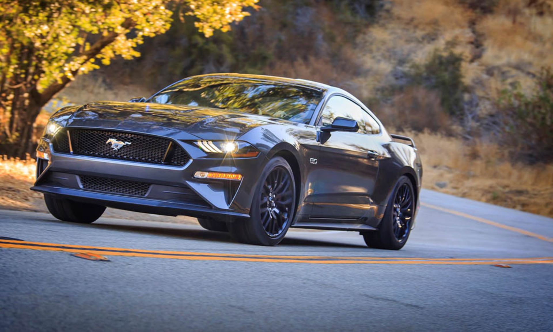2018 Ford Mustang (Magnetic)