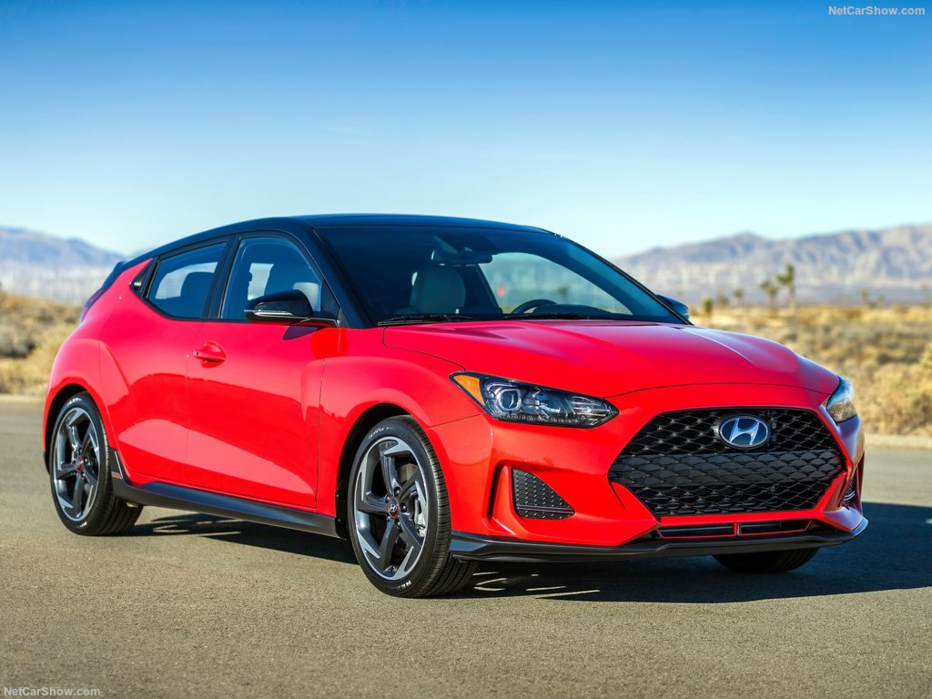 Hyundai-Veloster-2019-04
