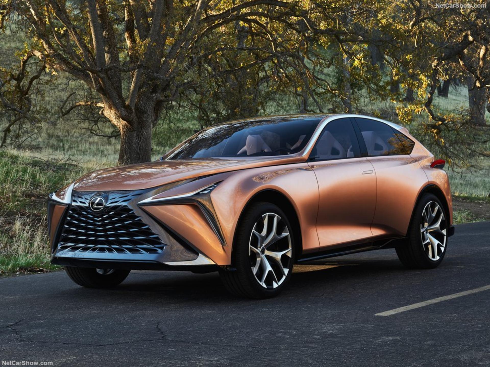 Lexus-LF-1_Limitless_Concept-2018-1024-06