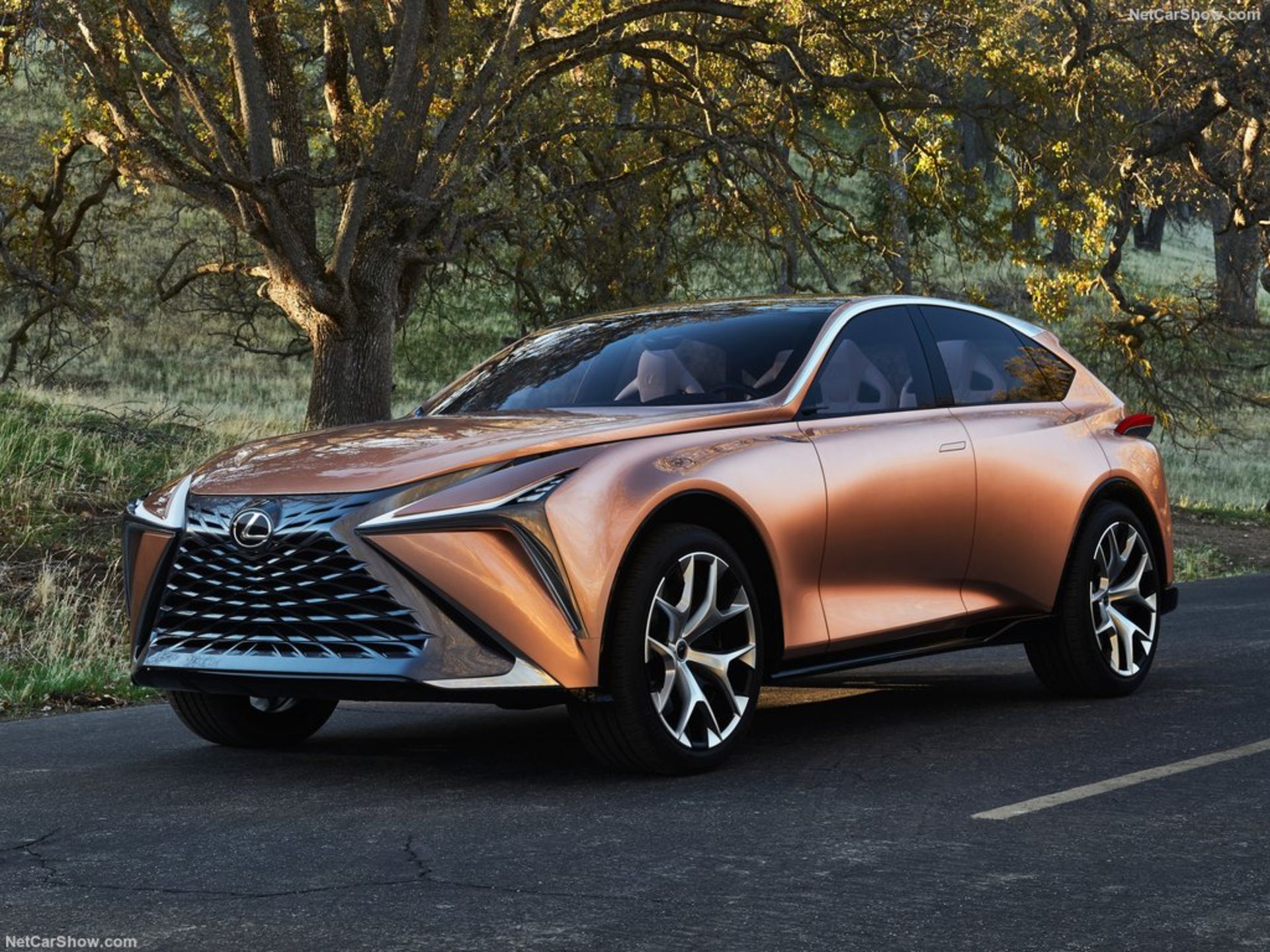 Lexus-LF-1_Limitless_Concept-2018-1024-06