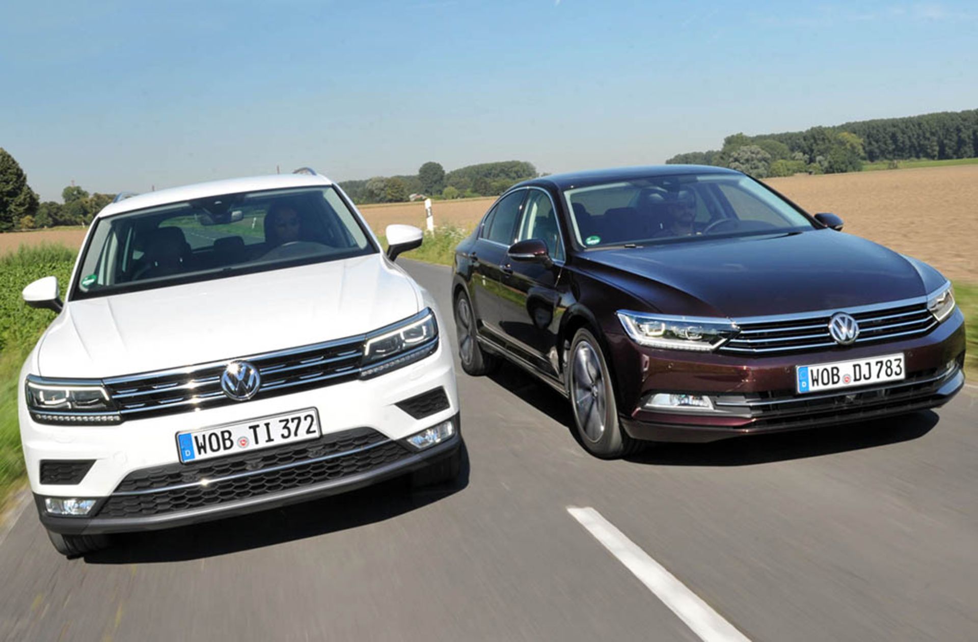 passat-tiguan-4