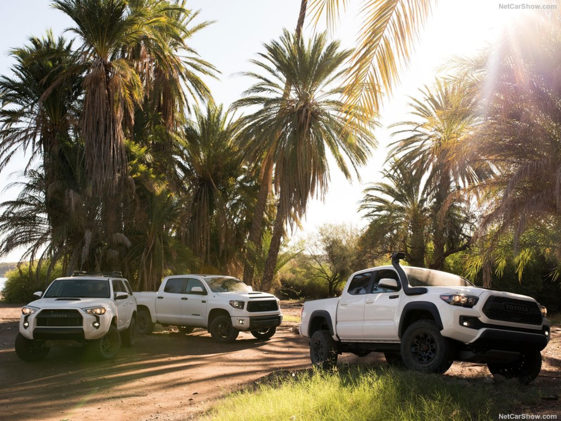 Toyota-4Runner_TRD_Pro-2019-1024-02