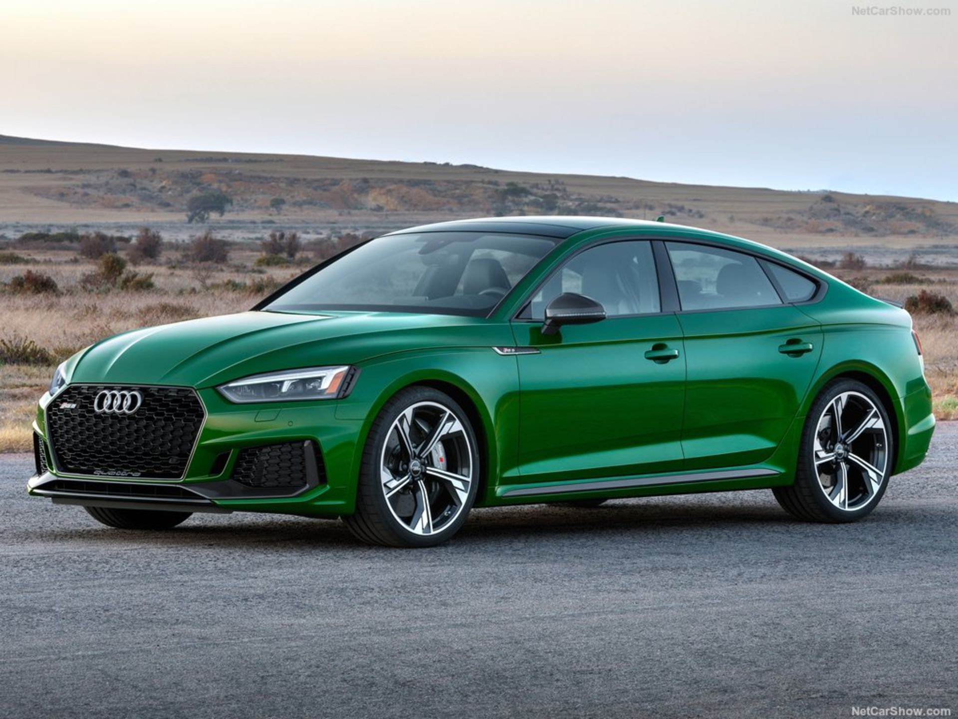 Audi-RS5_Sportback-2019-1024-03