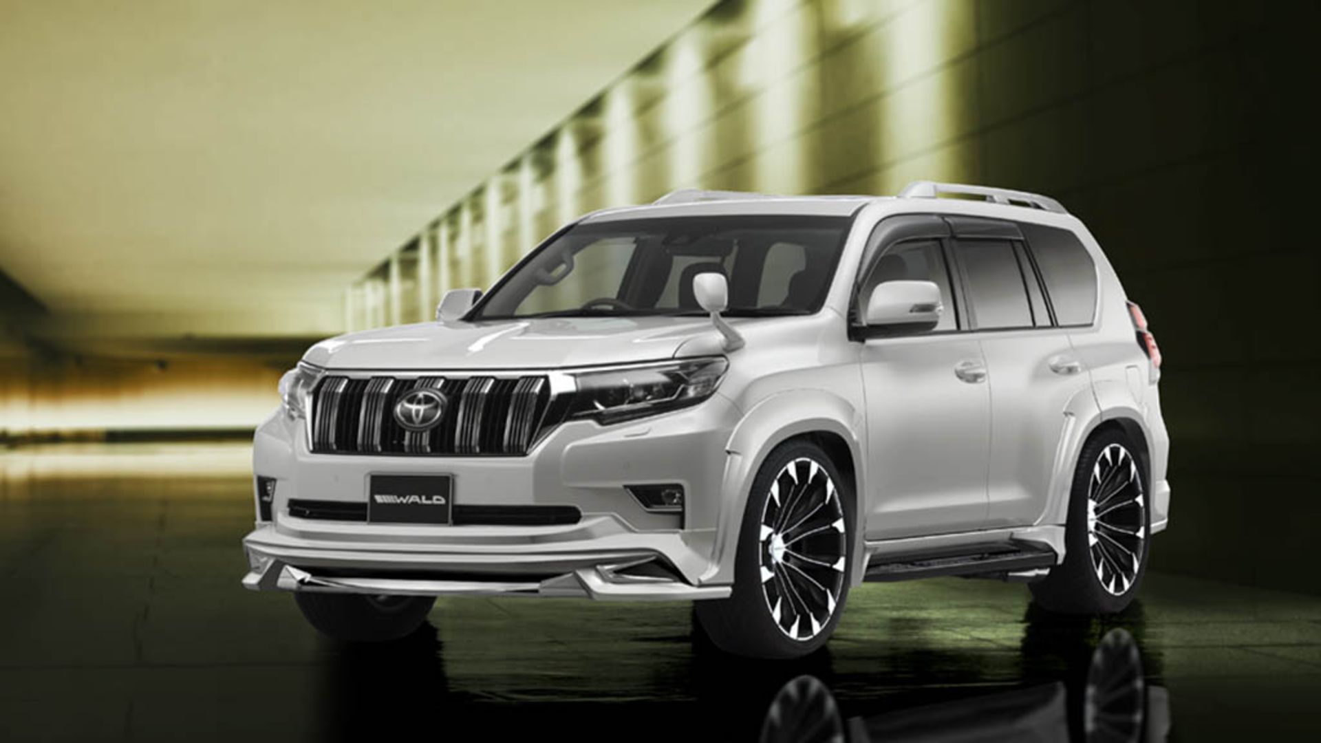 Toyota-Prado-Wald-1