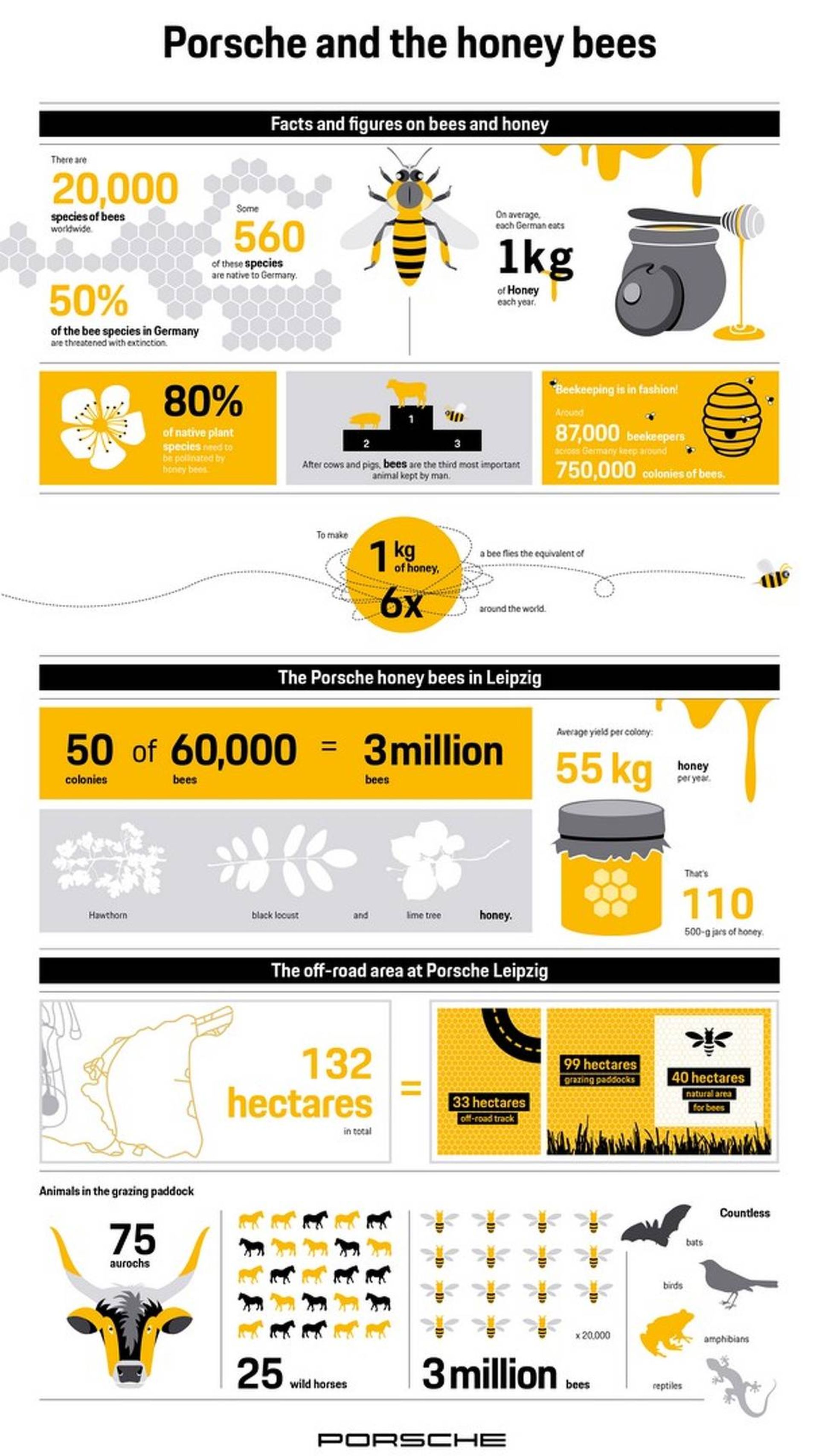 porsche-creates-its-first-honey6