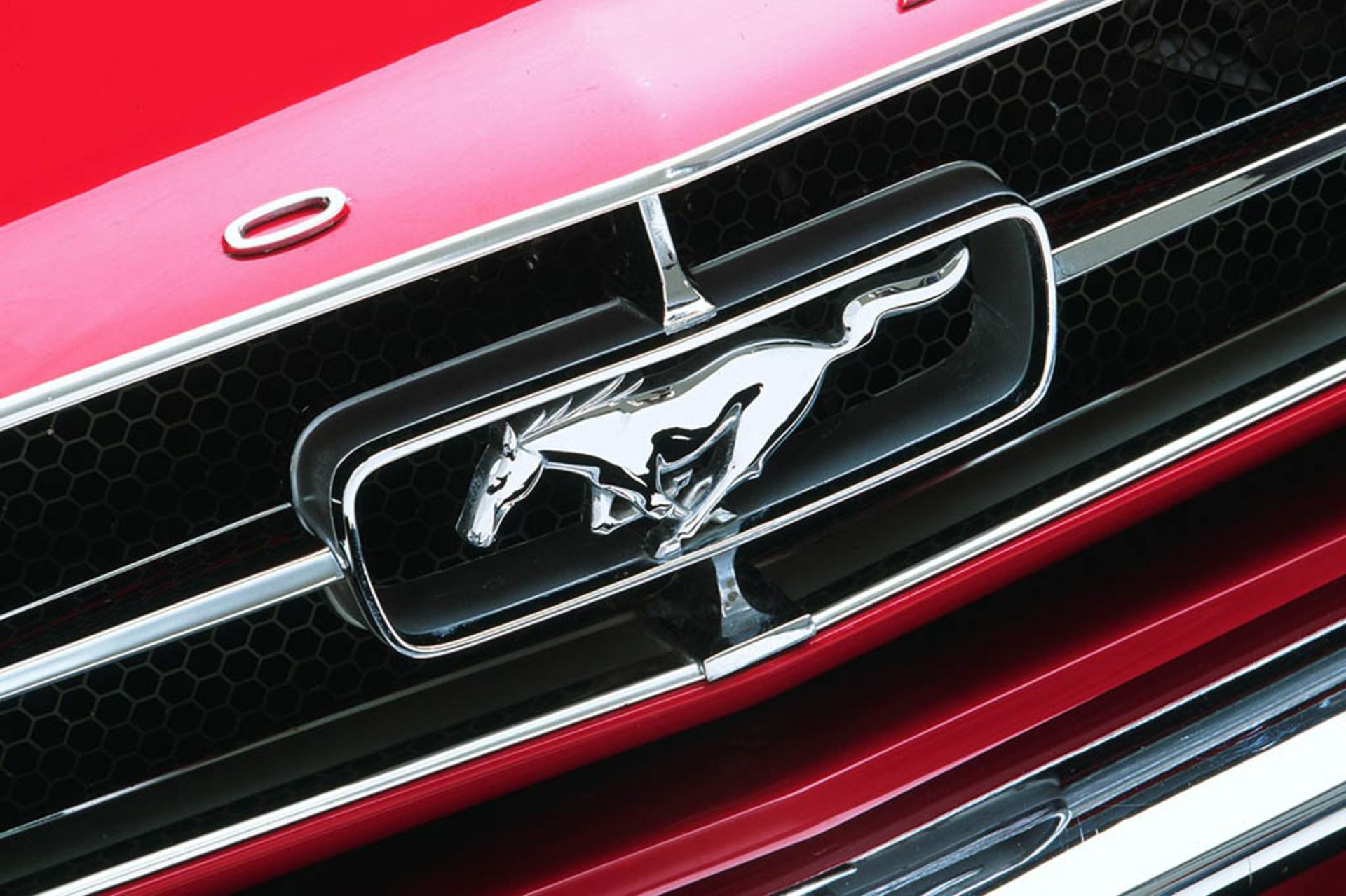 10_1965_Ford_Mustang_grille_ornament_neg_CN2605-096